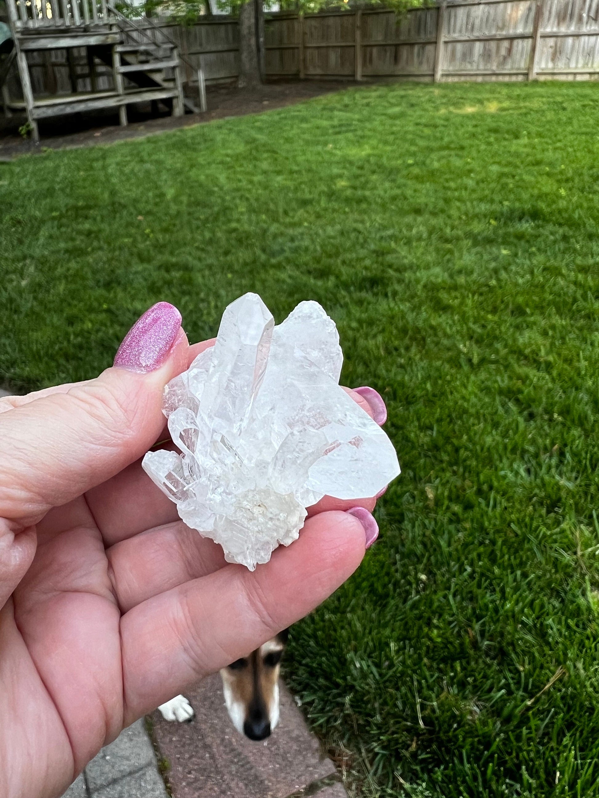 Lemurian Quartz Fairy bed, new, high frequency crystals, beautiful, gifts, altar, 2”