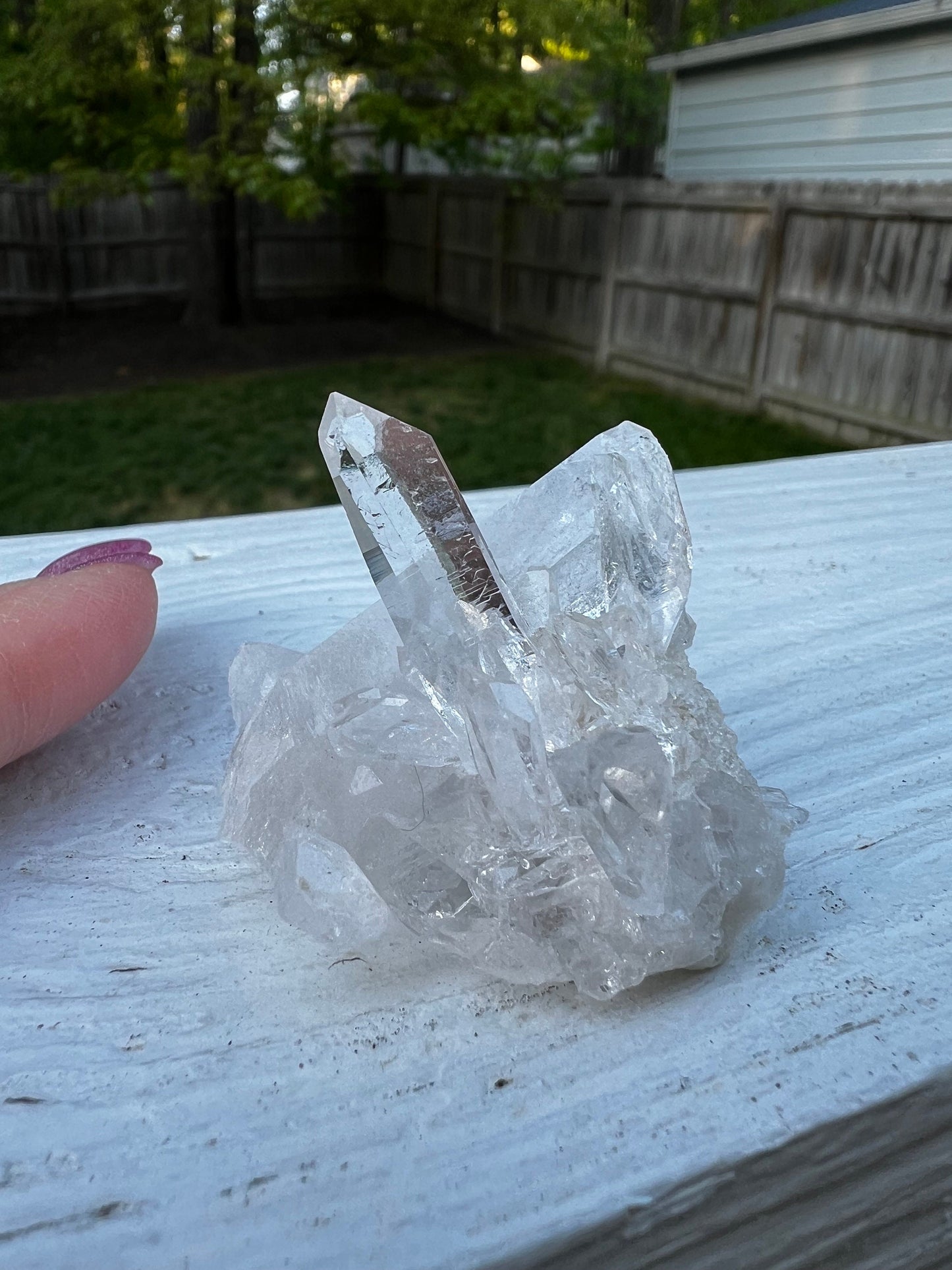 Lemurian Quartz Fairy bed, new, high frequency crystals, beautiful, gifts, altar, 2”