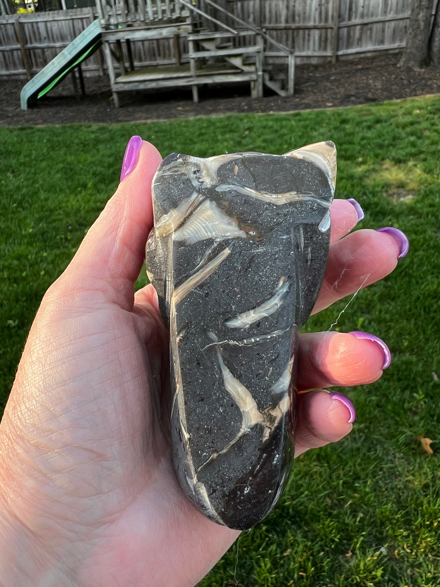 Large Septarian Dragon, beautiful carving, gift, altar, high vibration crystals