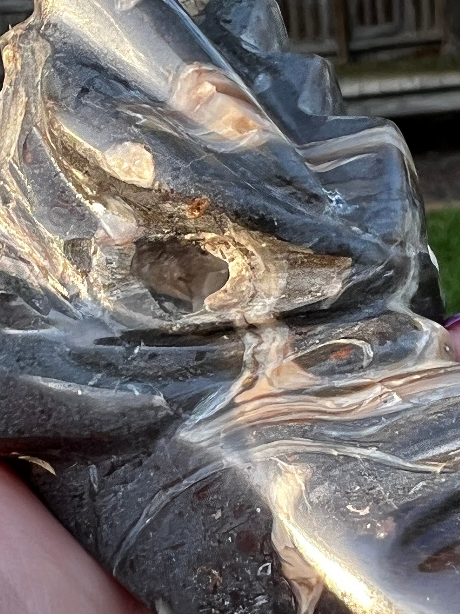 Large Septarian Dragon, beautiful carving, gift, altar, high vibration crystals