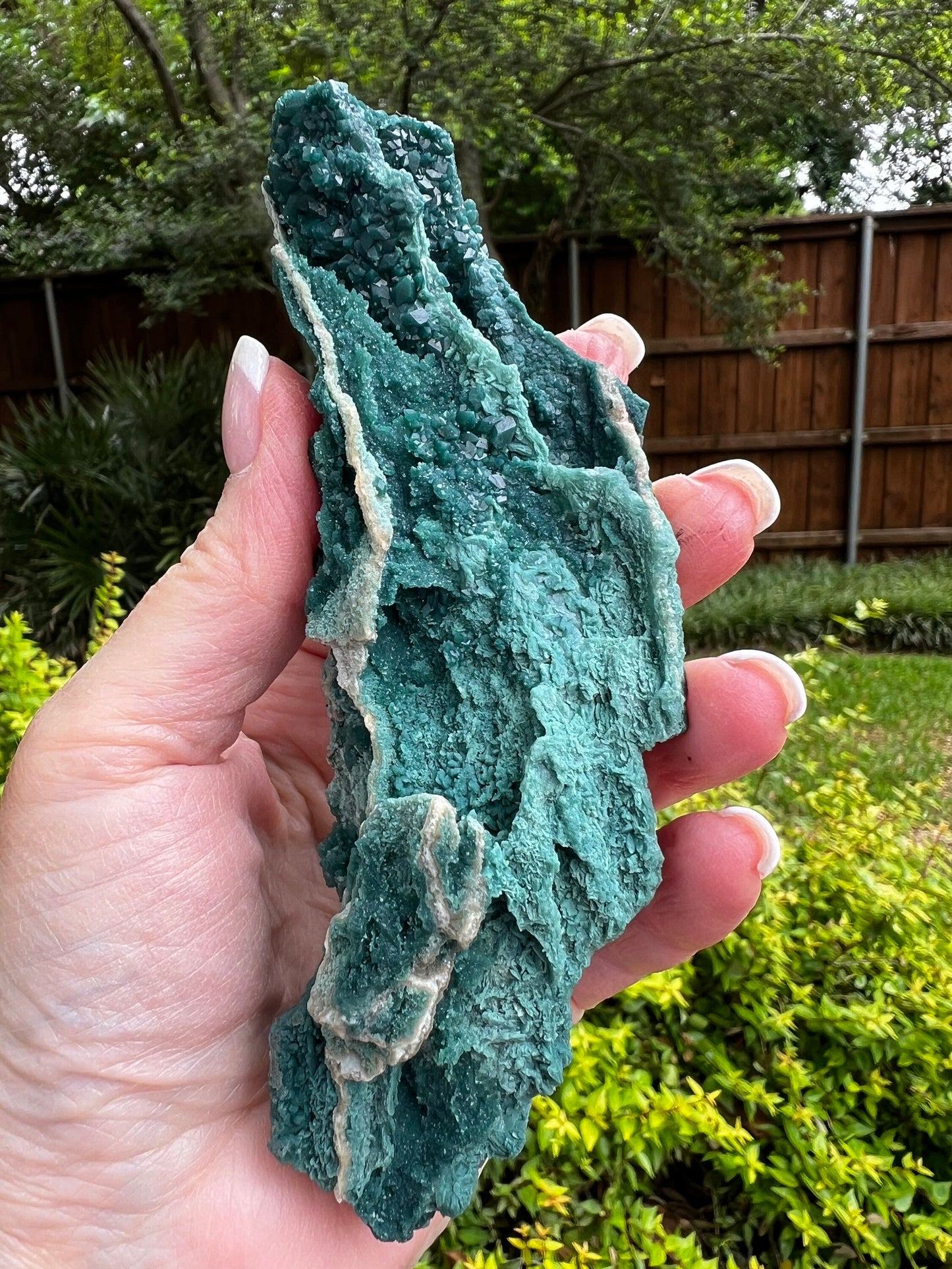 Marshy Apophyllite Fairy Bed with sparkle, celadonite, new, 5”, high vibration crystals, gifts, altar