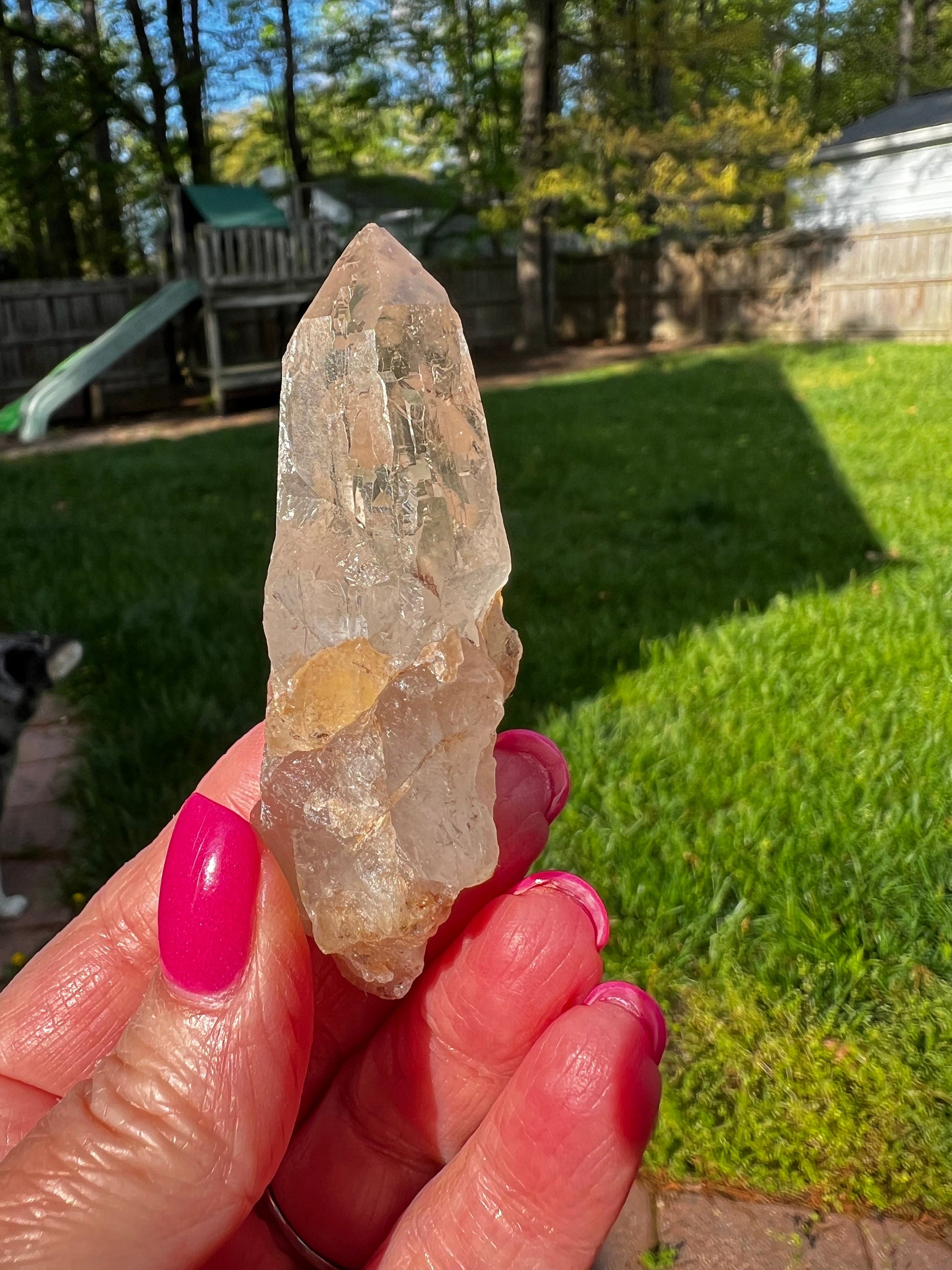 Cathedral Quartz Wand, clusters of points, magickal statement piece, altar, 2.75”, high vibration crystals