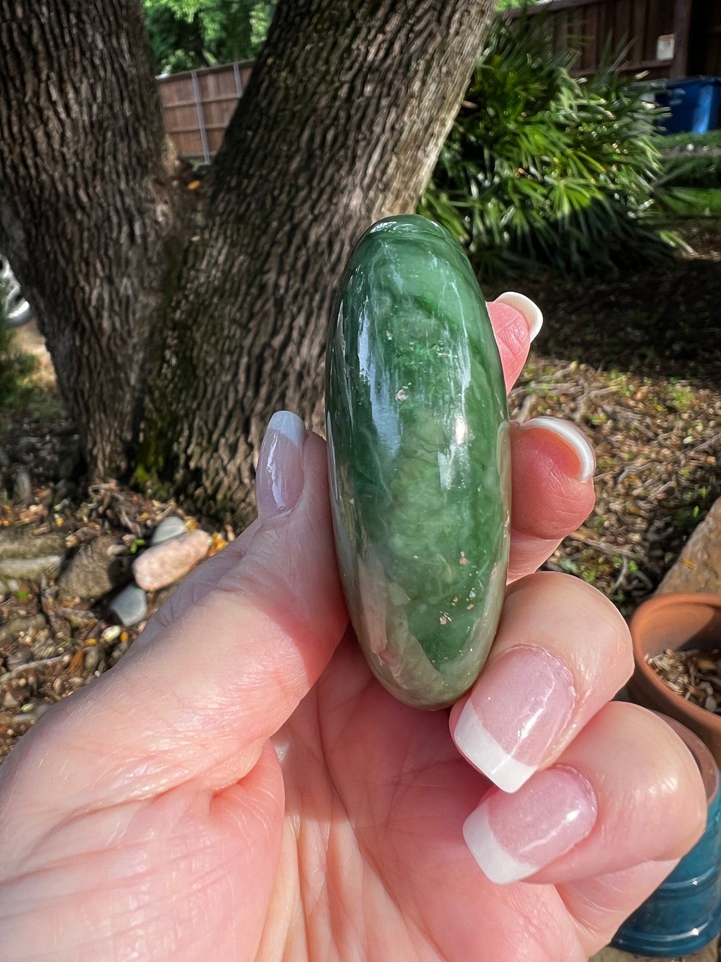 Nephrite Jade Palm Stone, Exquisite, approx 2.5”, gift, new in shop, healing crystals