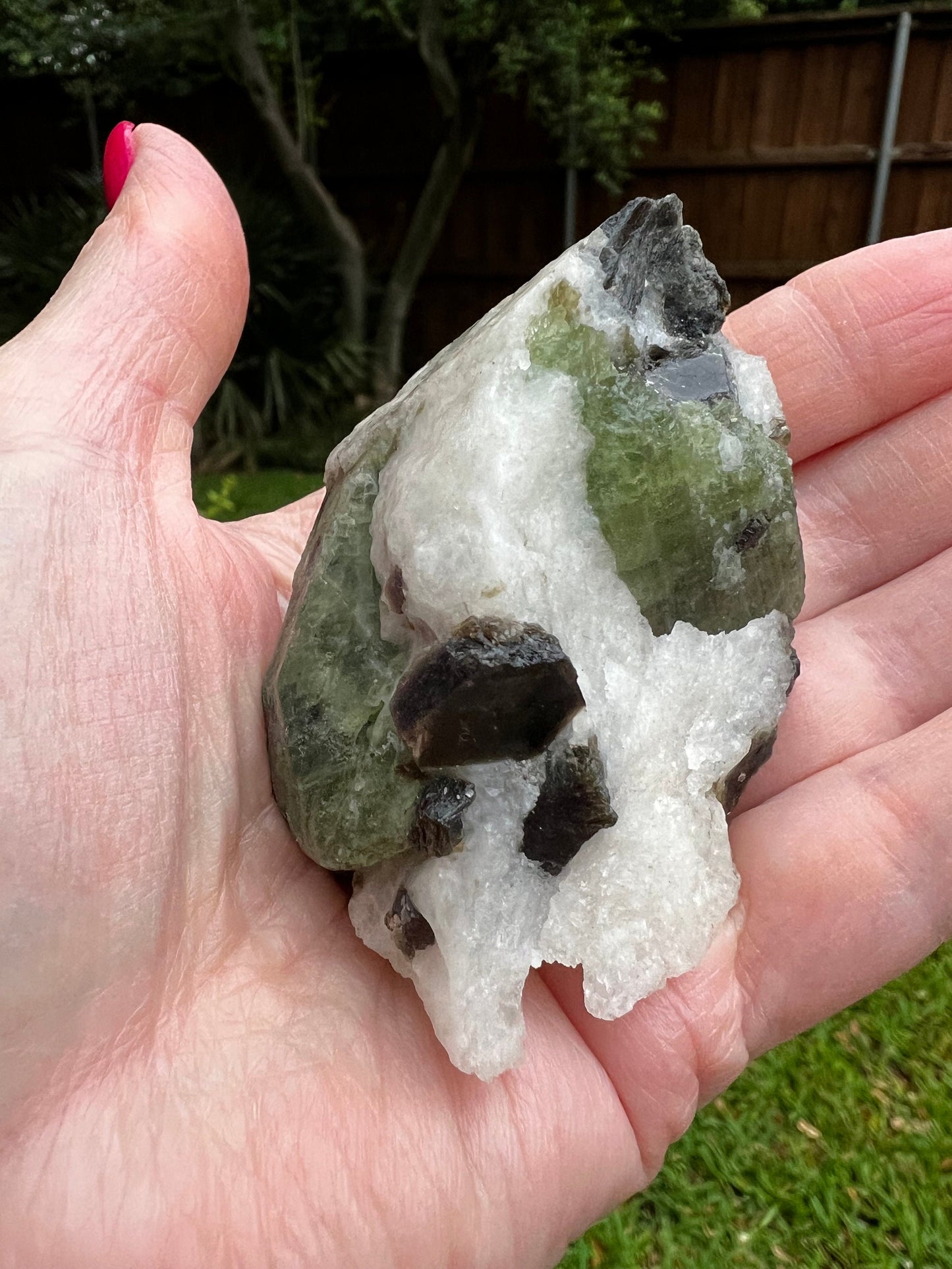 Beautiful Diopside Palm Specimen, 3”, rare, AAA quality, healing crystals