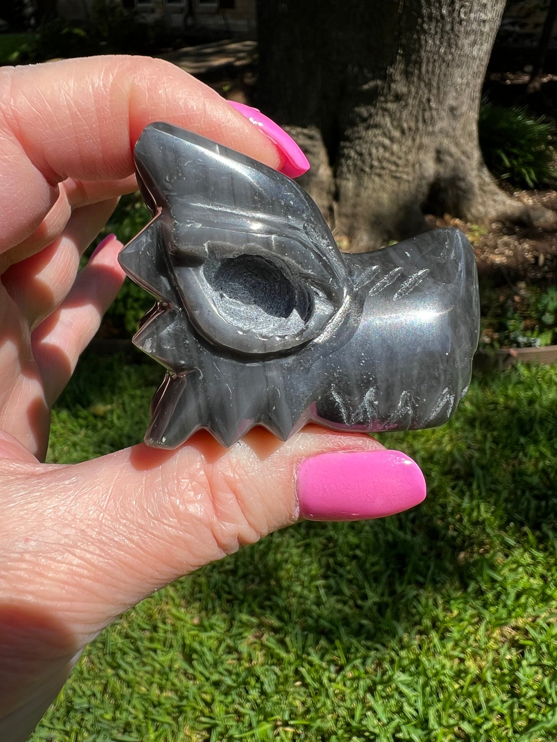 Agni Manitite Tektite Dragon Skull 2”, beautifully carved, crystal healing, premium crystals