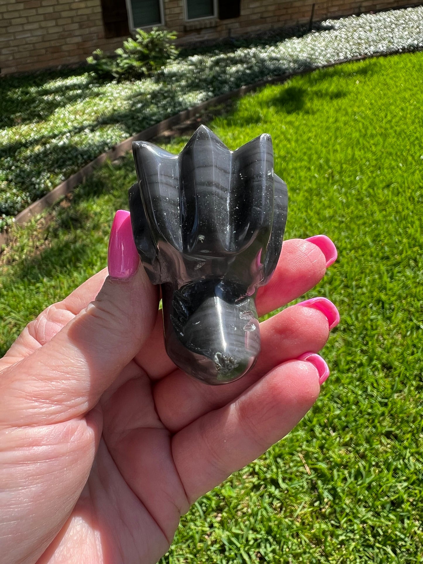 Agni Manitite Tektite Dragon Skull 2”, beautifully carved, crystal healing, premium crystals