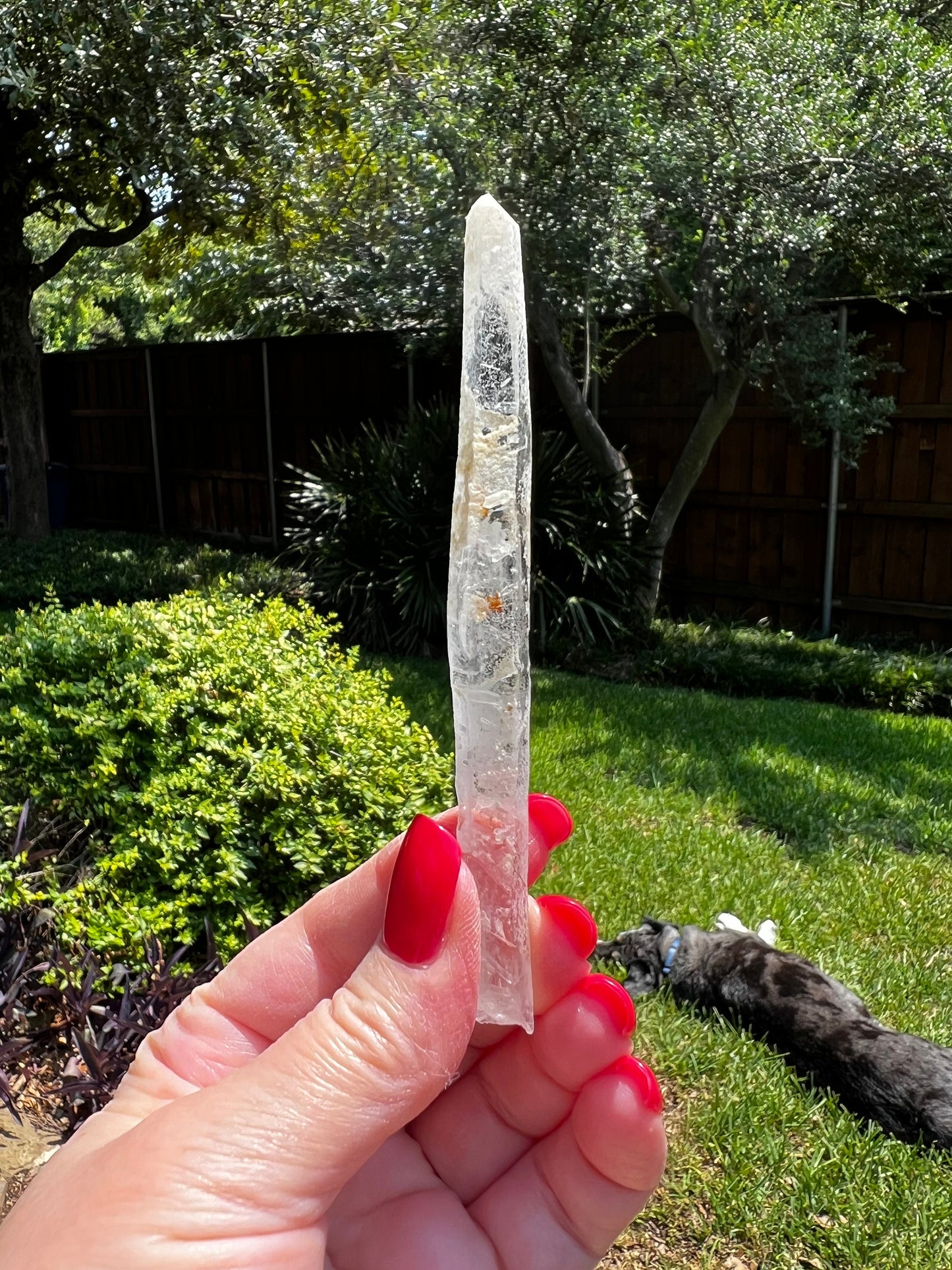 Laser Singing Lemurian Wand 4.5” raw bottom, New, gift, altar, high vibration crystals