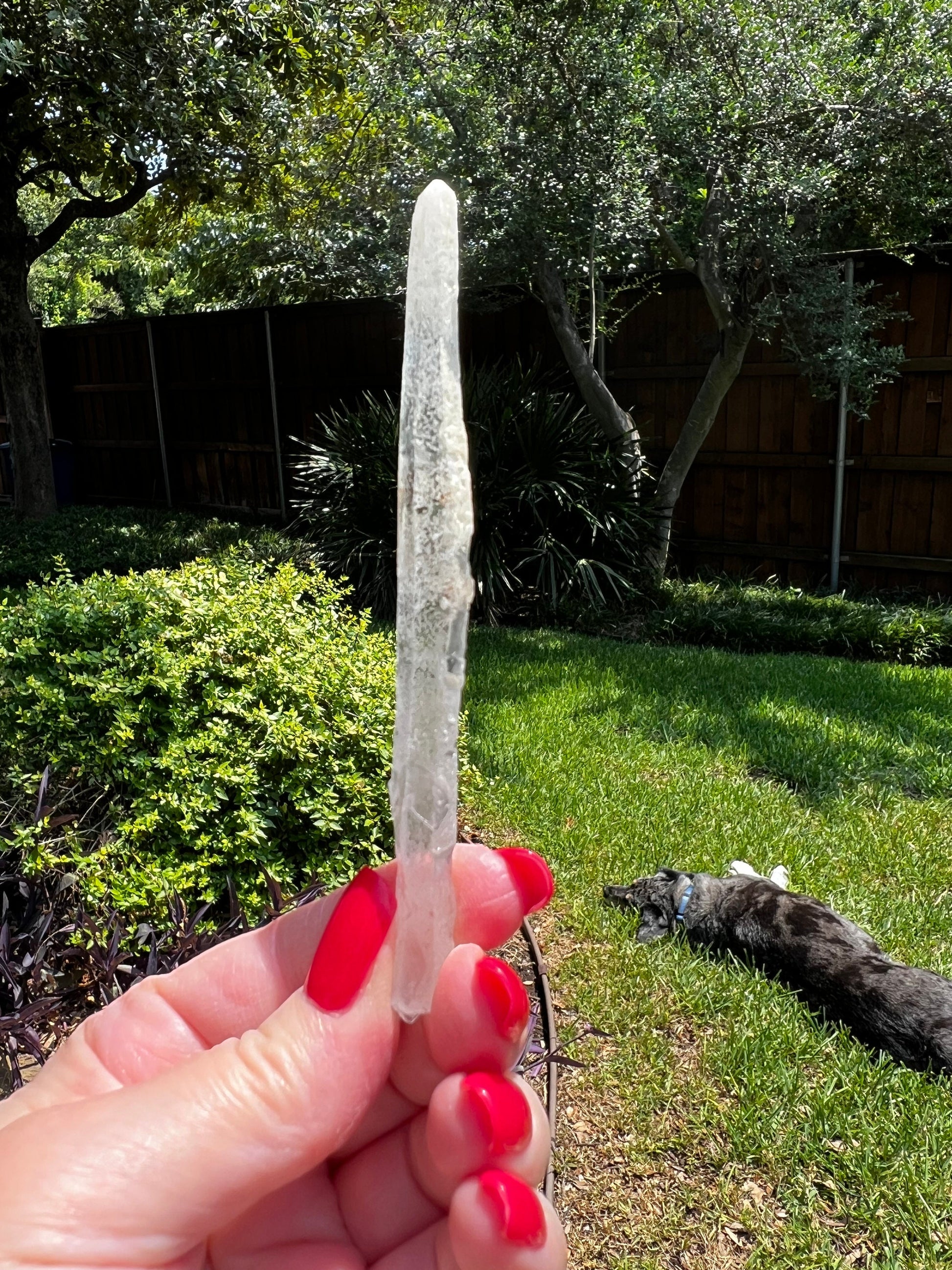 Laser Singing Lemurian Wand 4.5” raw bottom, New, gift, altar, high vibration crystals