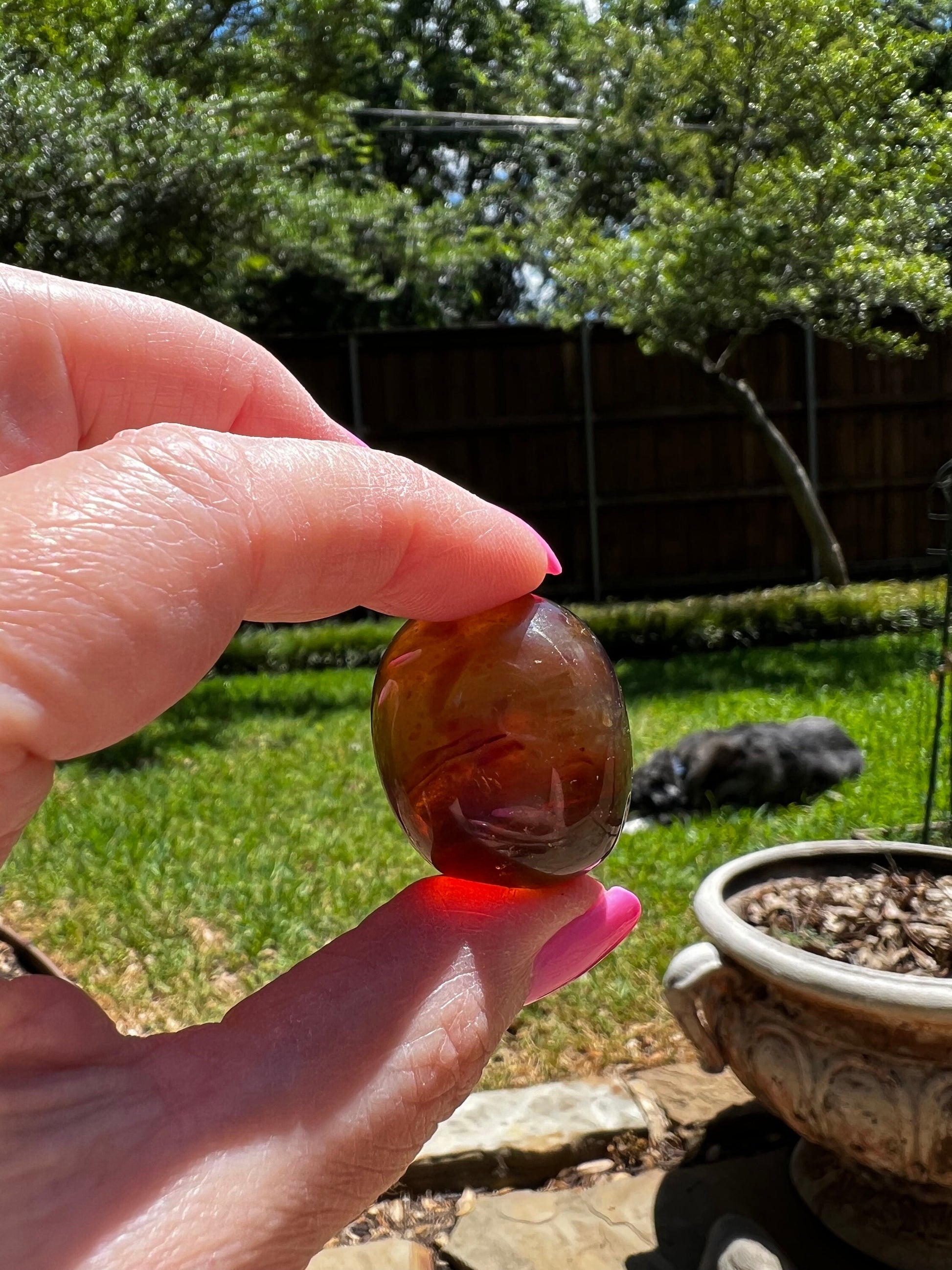 Pair of amber large tumbles, New, 1”, altar, gift, high vibration crystals, natural, crystal healing