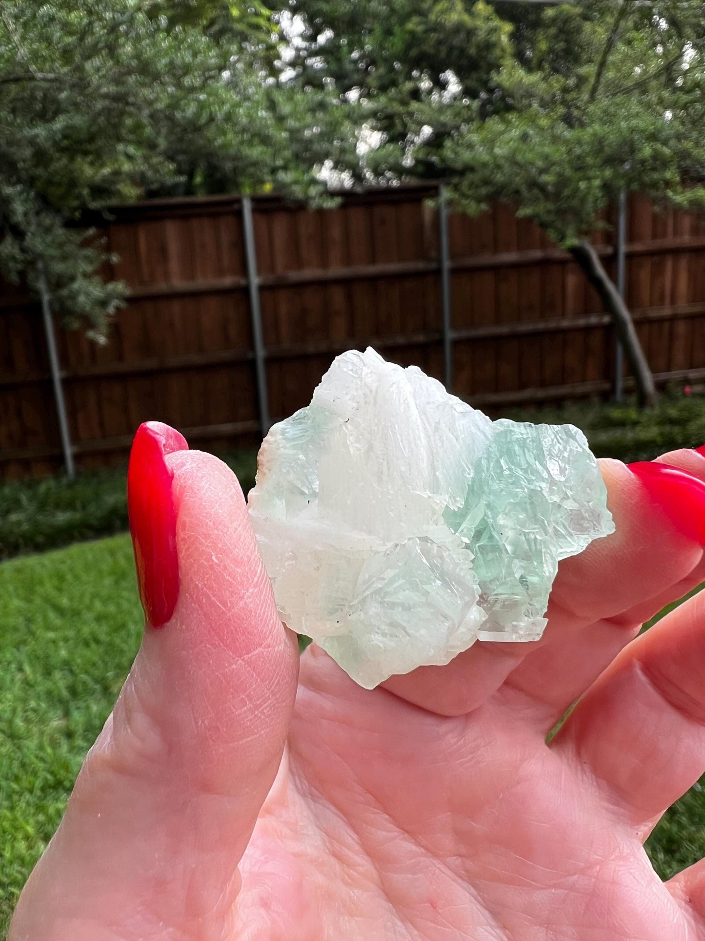 Green Apophyllite with sparkle, celadonite, new, 1”, high vibration crystals, gifts, altar