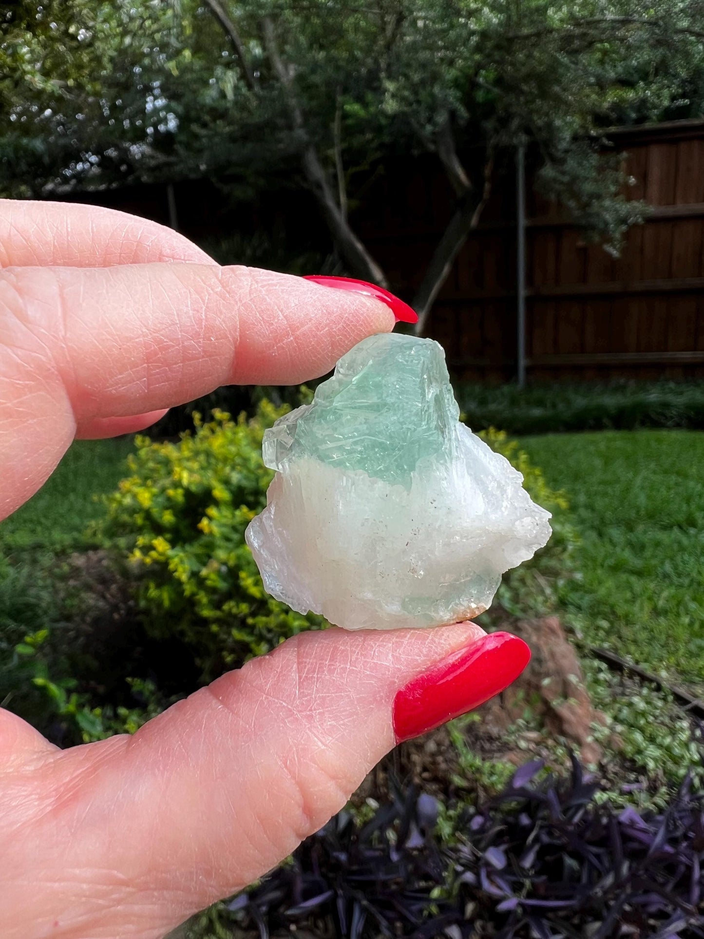 Green Apophyllite with sparkle, celadonite, new, 1”, high vibration crystals, gifts, altar