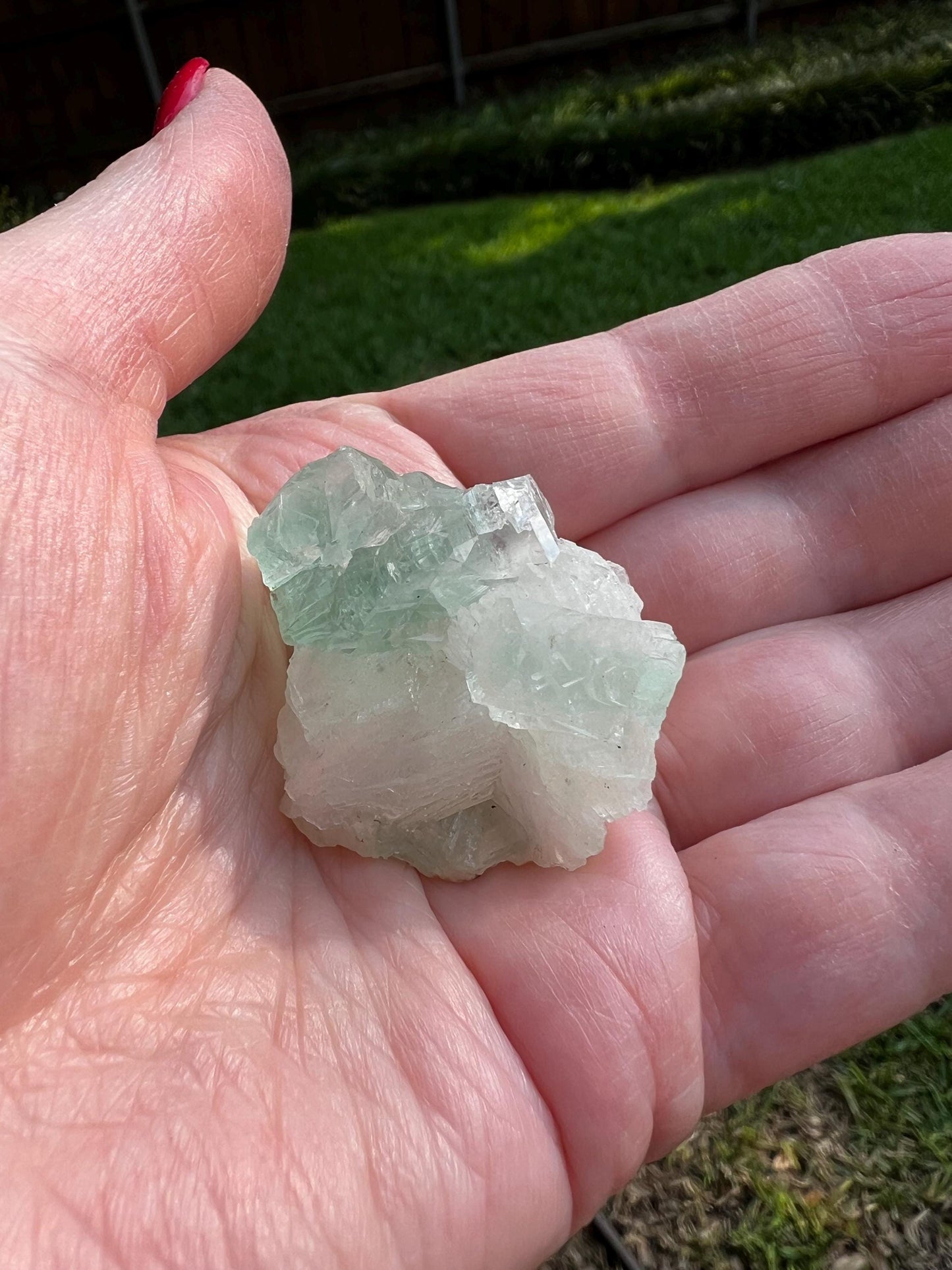 Green Apophyllite with sparkle, celadonite, new, 1”, high vibration crystals, gifts, altar