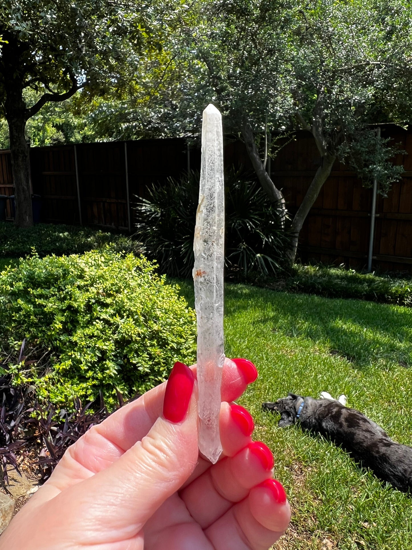 Laser Singing Lemurian Wand 4.5” raw bottom, New, gift, altar, high vibration crystals