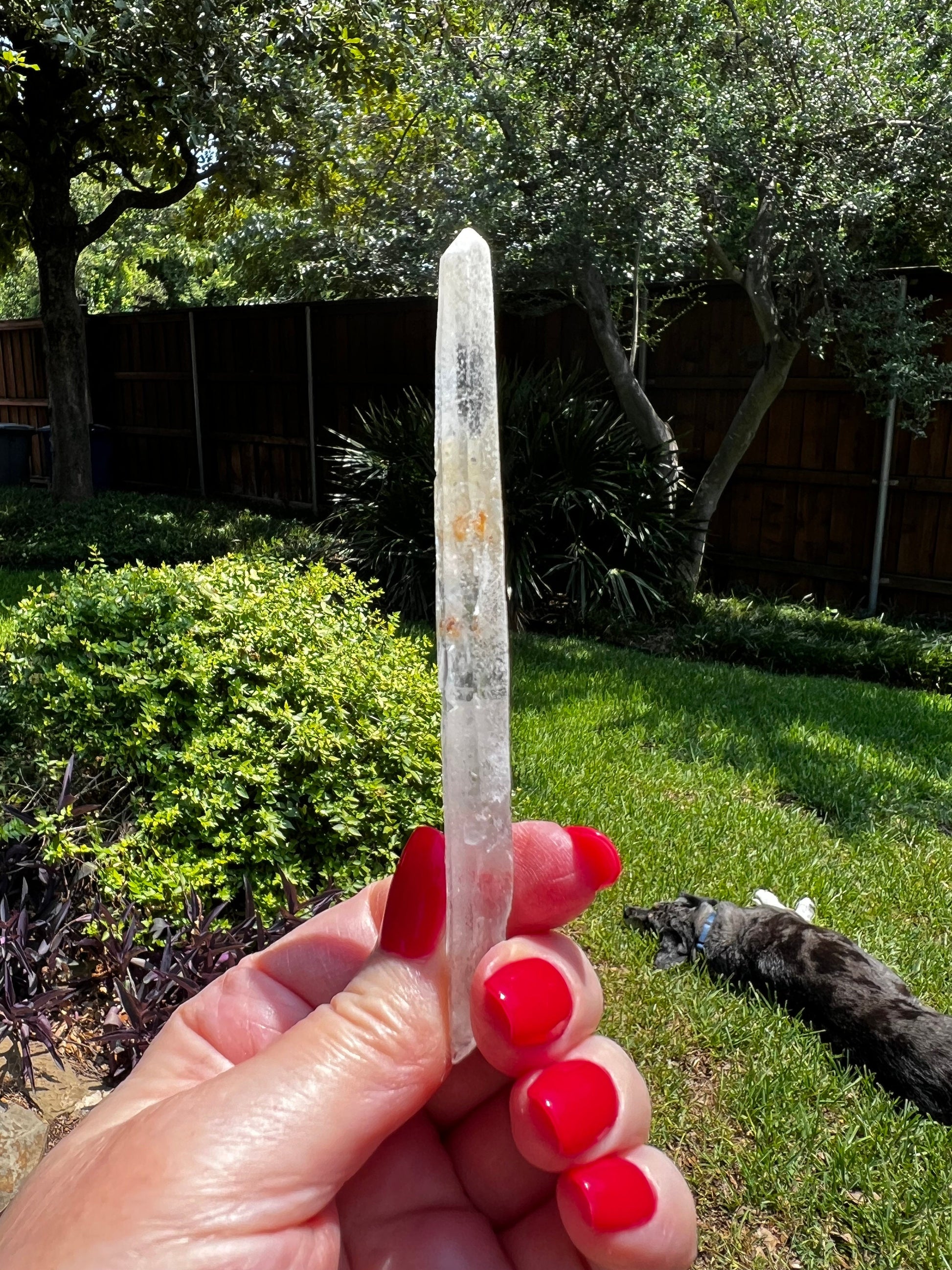 Laser Singing Lemurian Wand 4.5” raw bottom, New, gift, altar, high vibration crystals