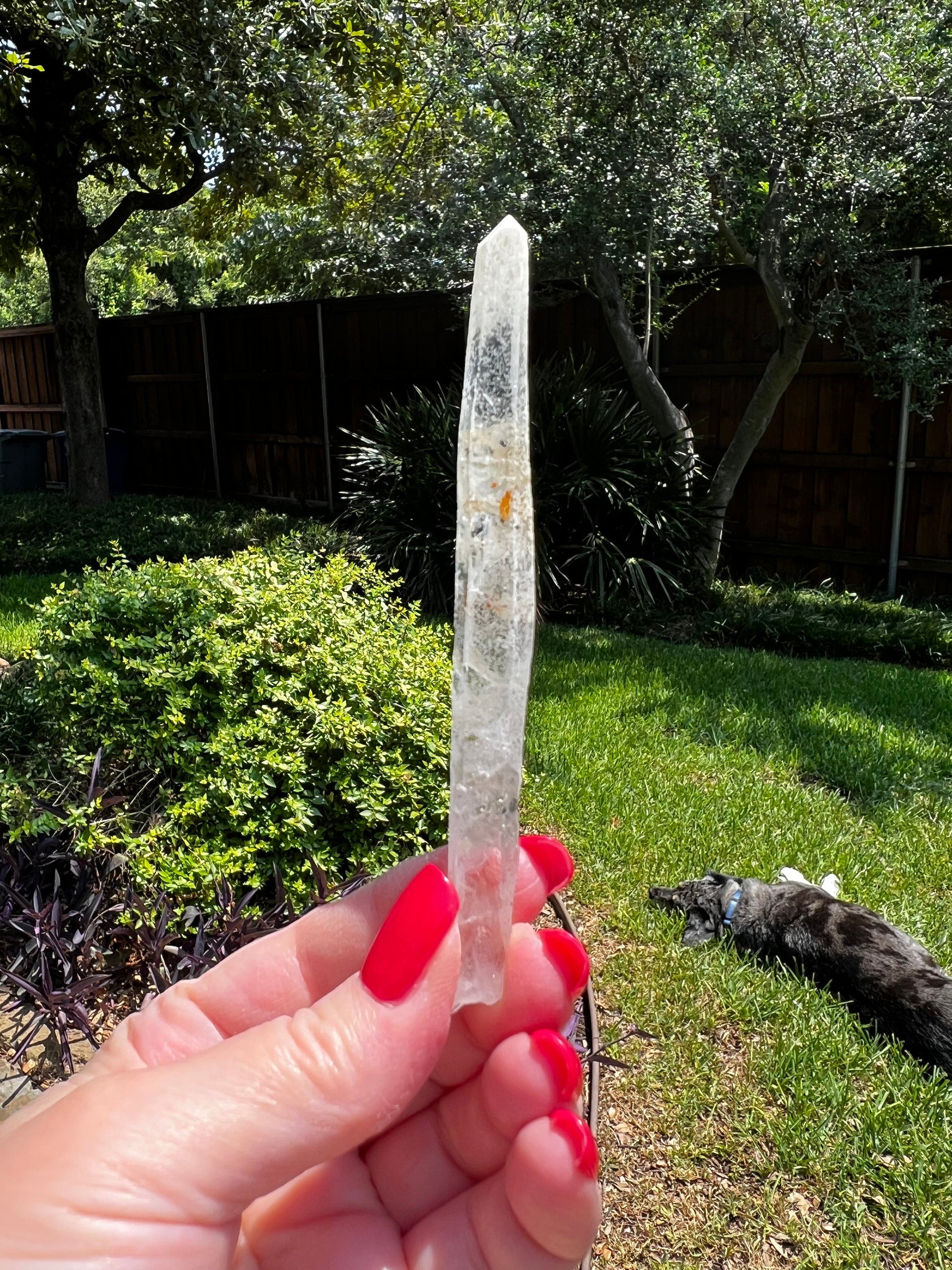 Laser Singing Lemurian Wand 4.5” raw bottom, New, gift, altar, high vibration crystals