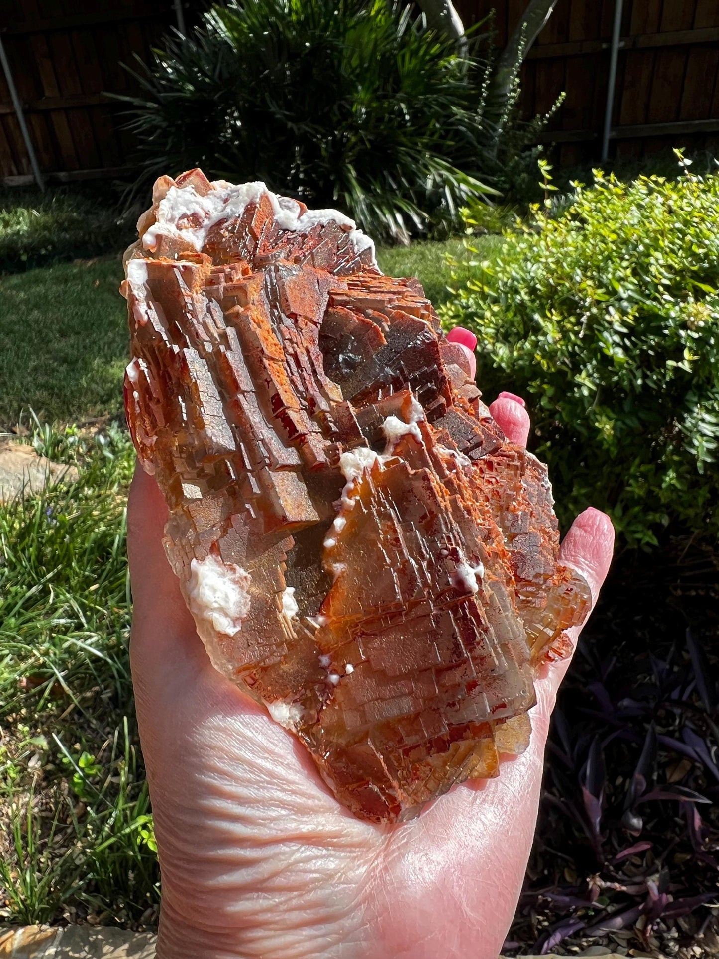 Stunning Red Purple Fluorite Raw Statement Piece, 1.14 pounds, 6”