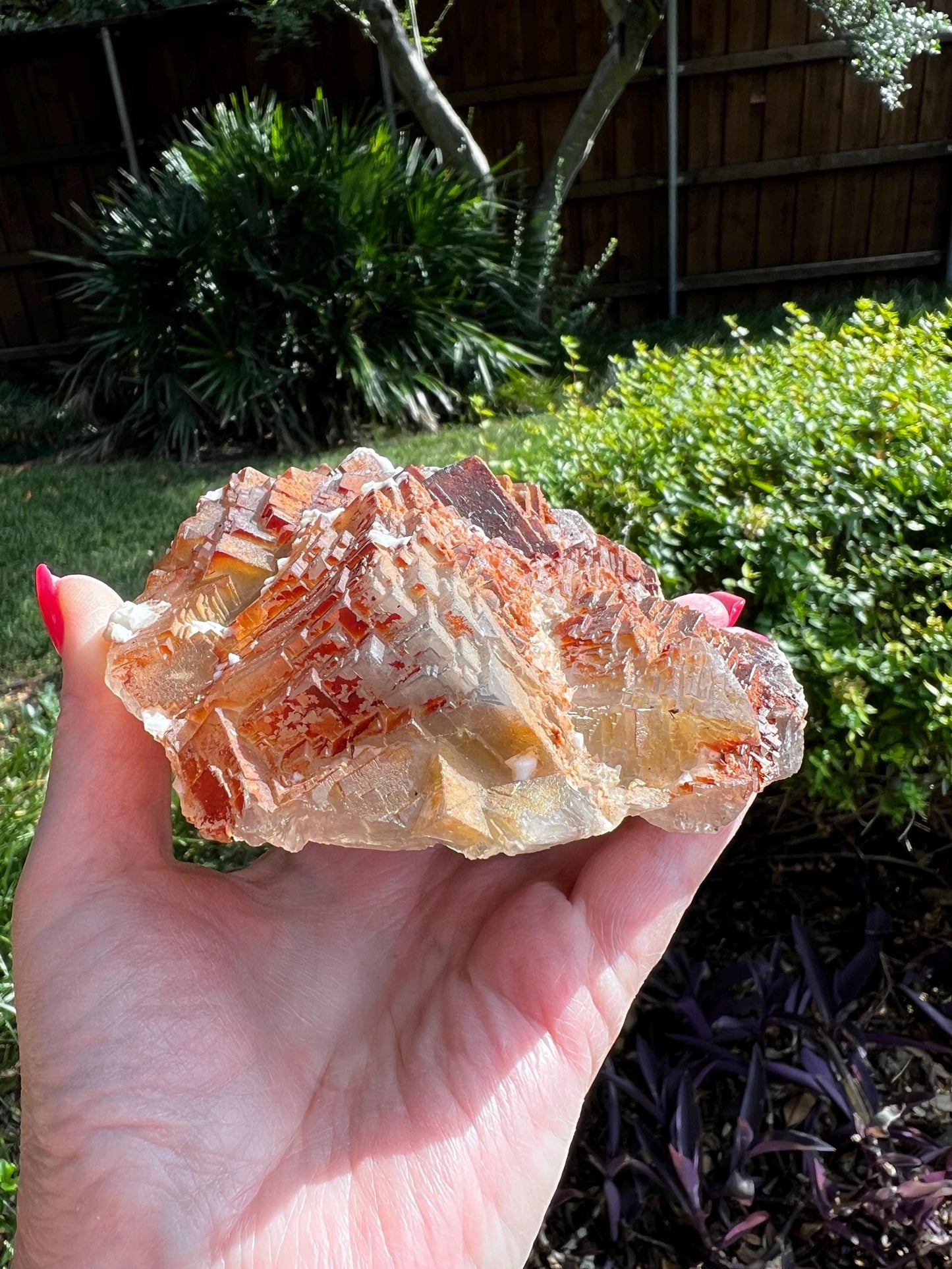 Stunning Red Purple Fluorite Raw Statement Piece, 1.14 pounds, 6”