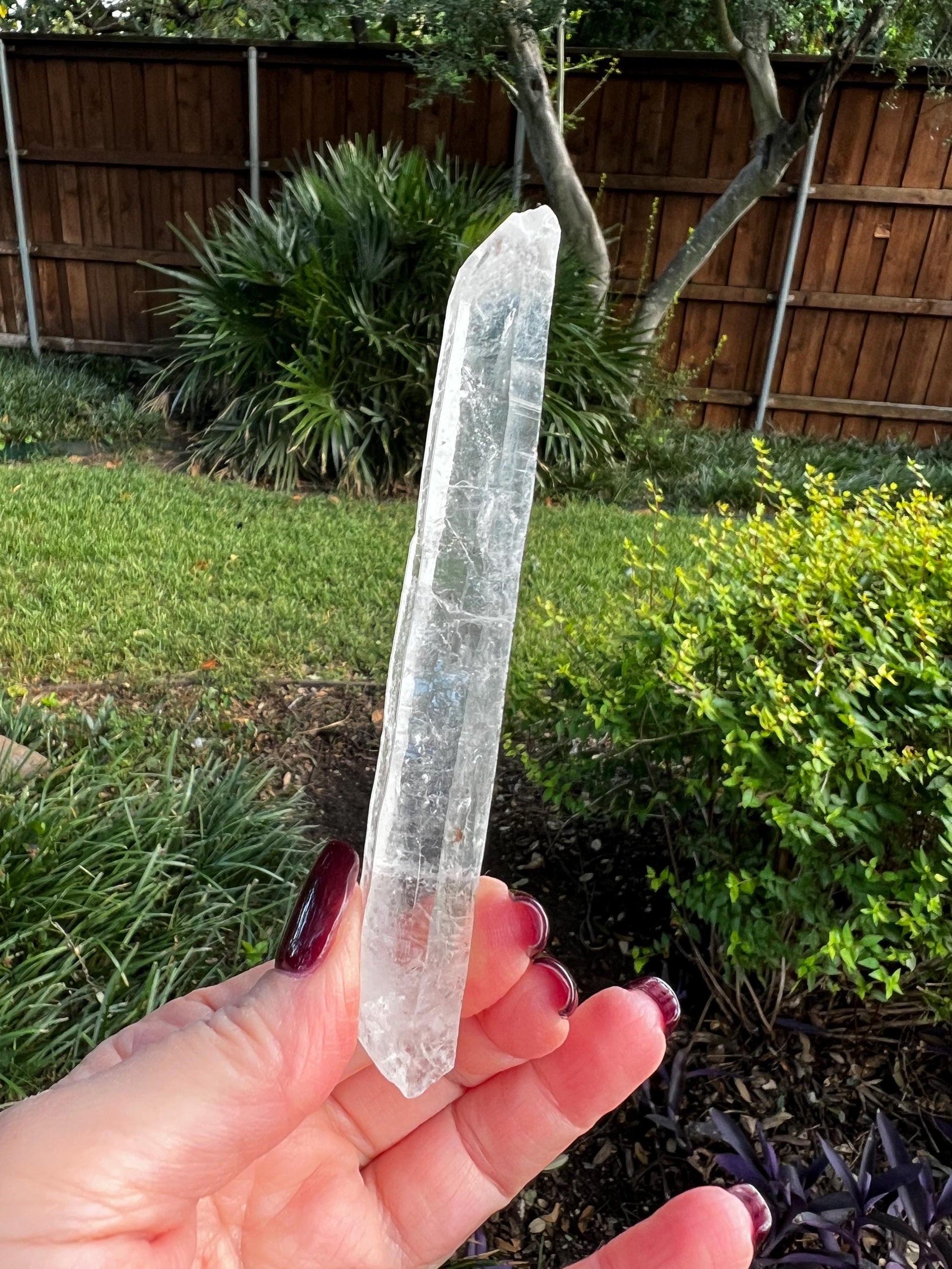 Laser Singing Lemurian Wand 4.75”, crown bottom, New, gift, altar, high vibration crystals