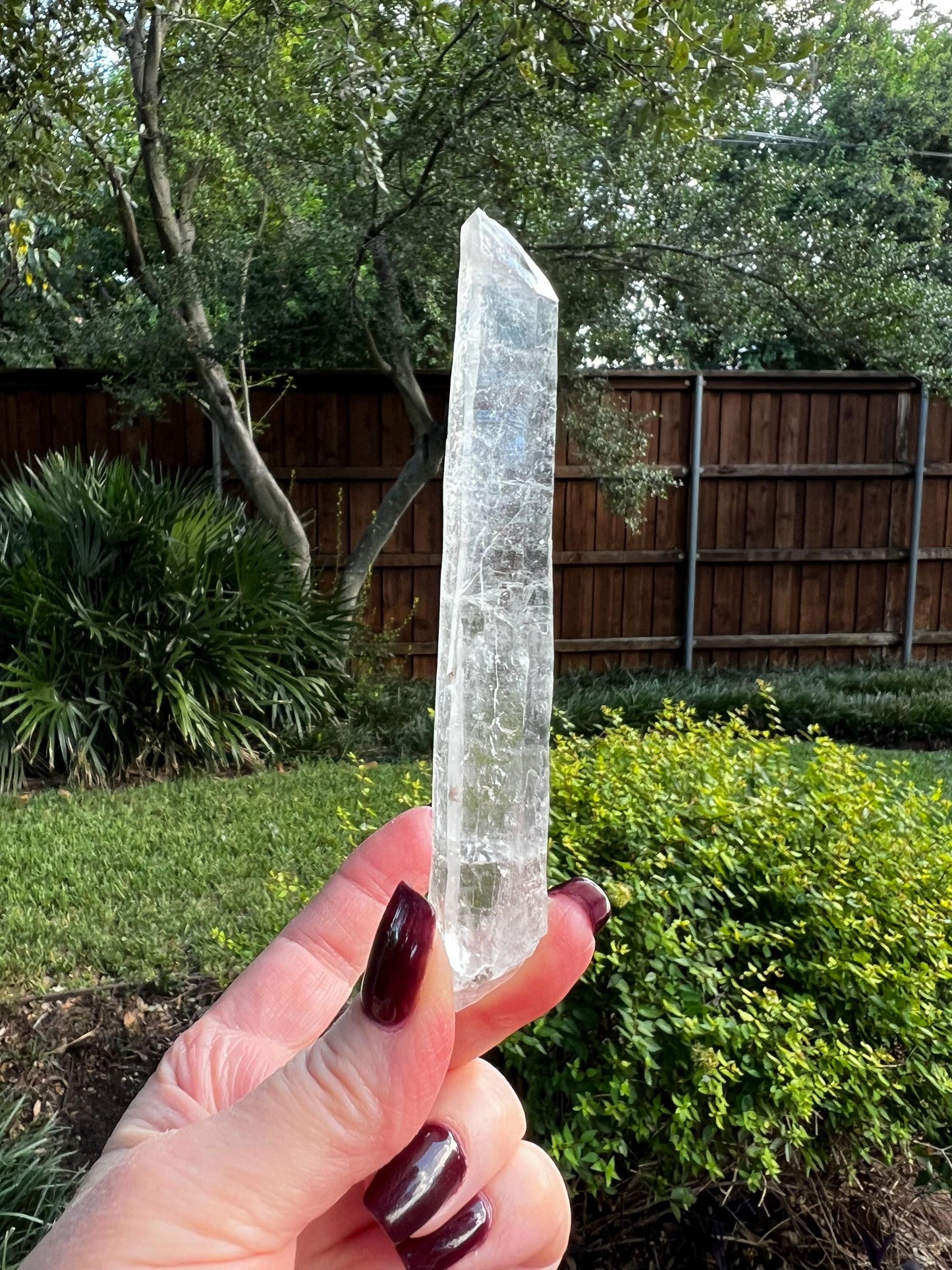 Laser Singing Lemurian Wand 4.75”, crown bottom, New, gift, altar, high vibration crystals