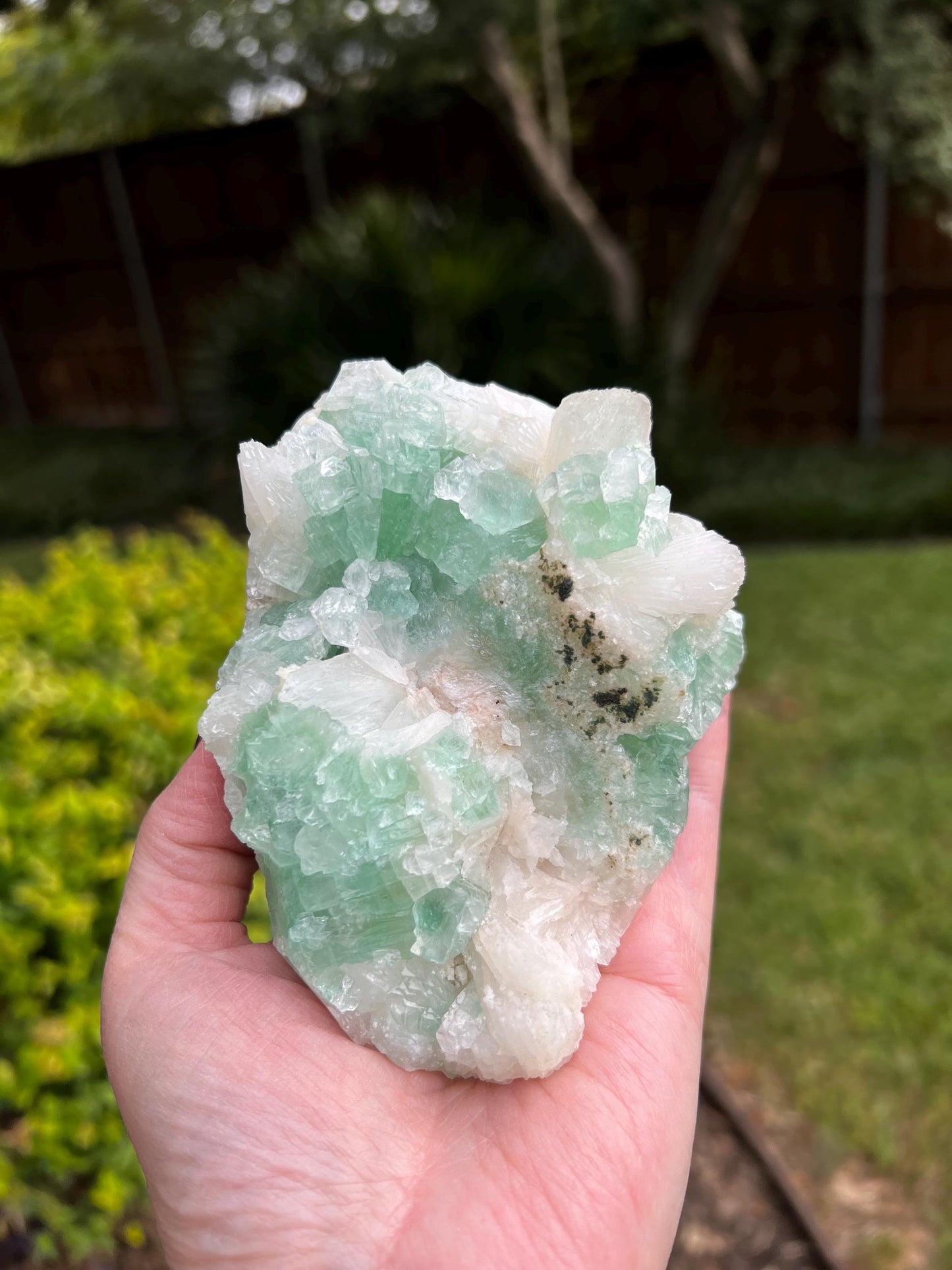 Green Apophyllite Fairy Bed with sparkle, celadonite, new, 4.5”, high vibration crystals, gifts, altar