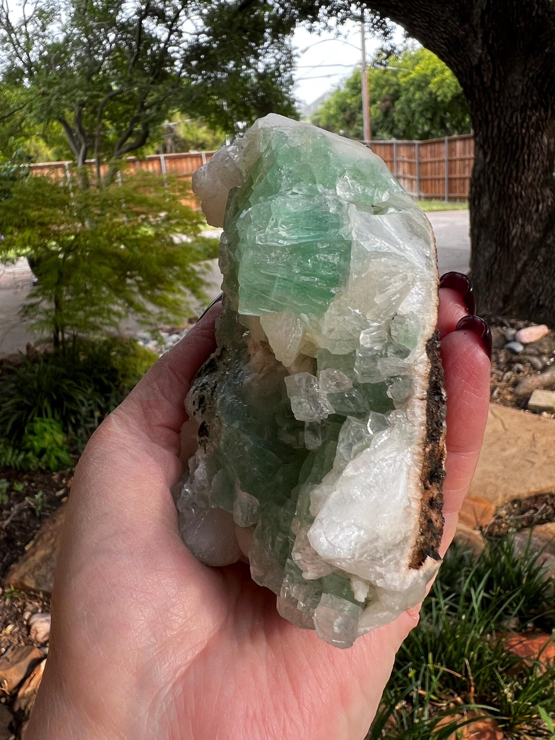 Green Apophyllite Fairy Bed with sparkle, celadonite, new, 4.5”, high vibration crystals, gifts, altar