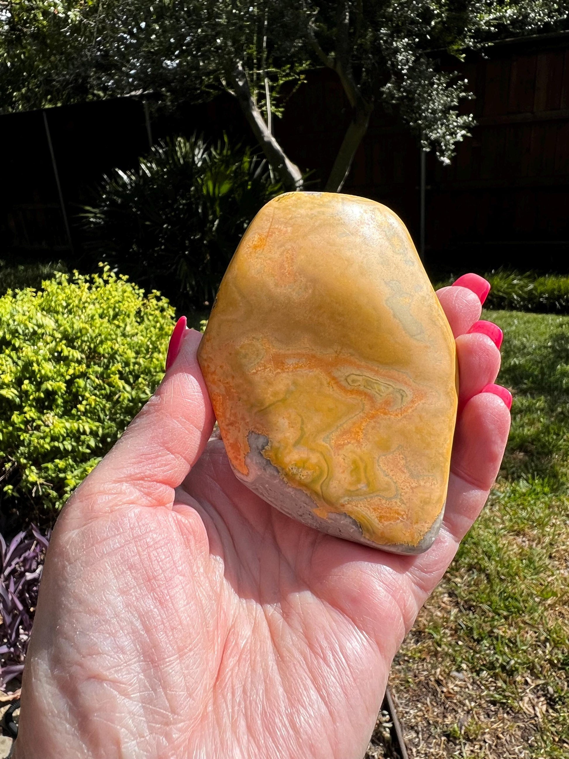 Bumblebee Jasper Freeform, 3.5” New, High Vibration Crystals, crystal healing, gifts