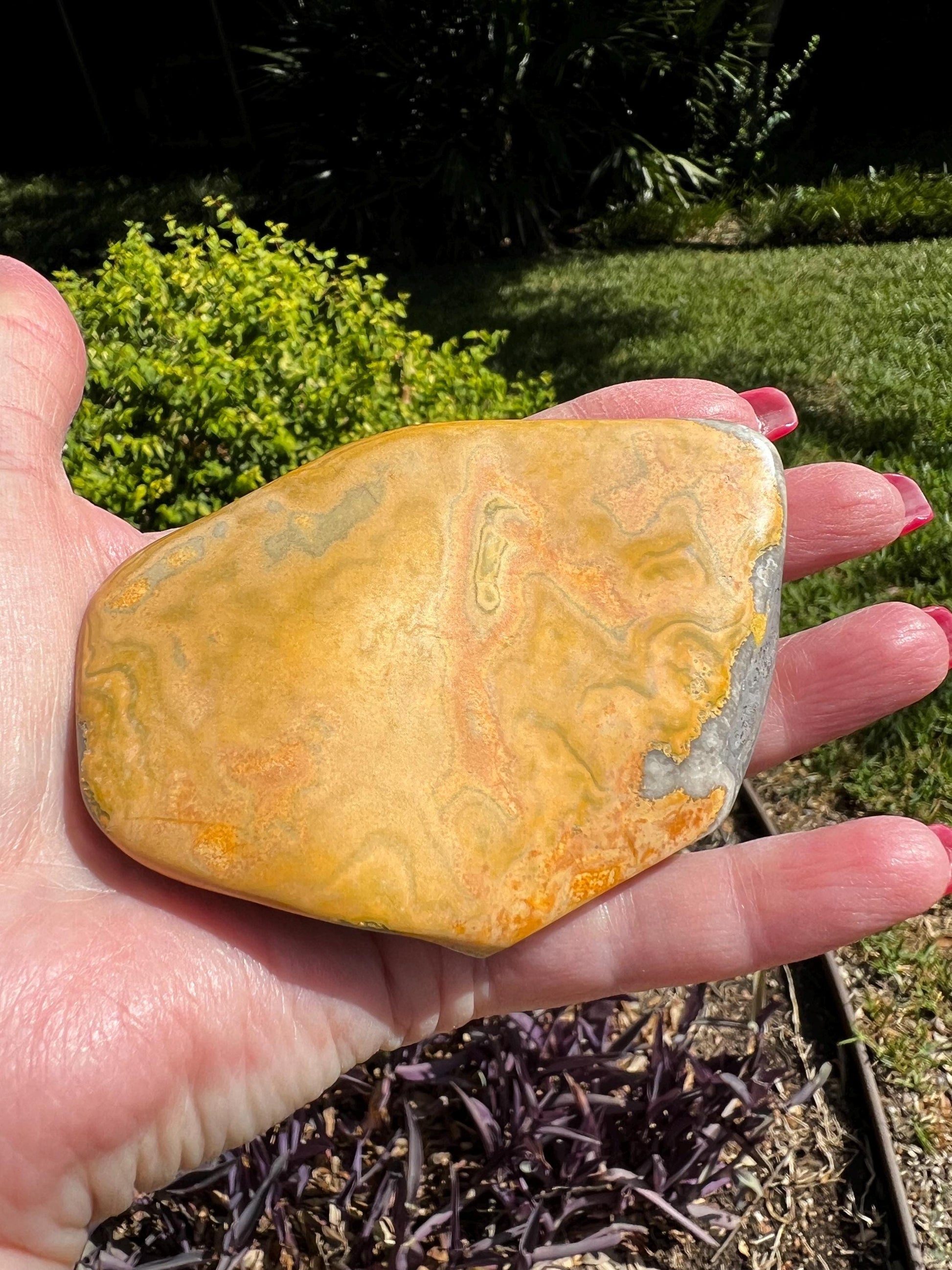 Bumblebee Jasper Freeform, 3.5” New, High Vibration Crystals, crystal healing, gifts