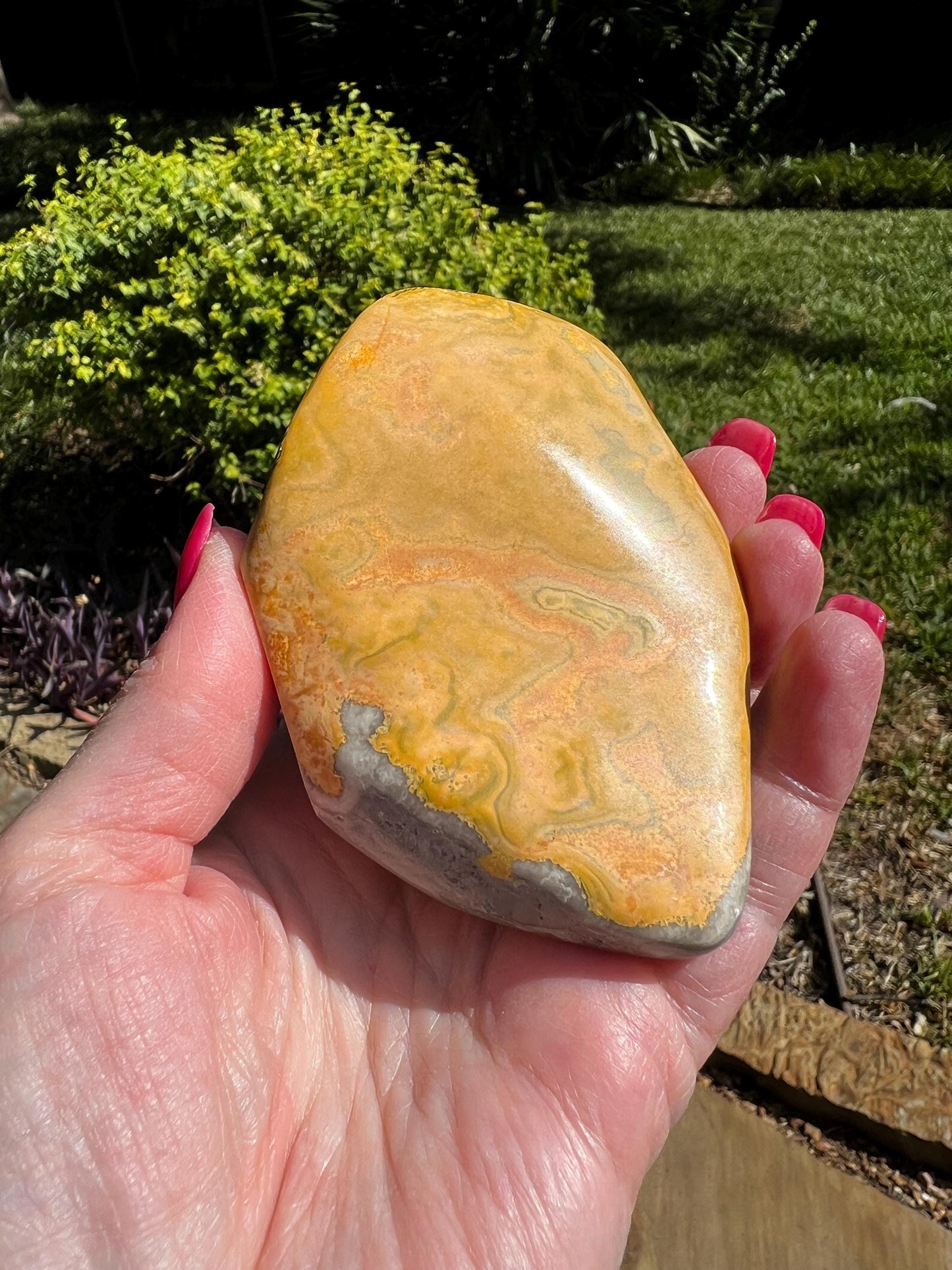 Bumblebee Jasper Freeform, 3.5” New, High Vibration Crystals, crystal healing, gifts