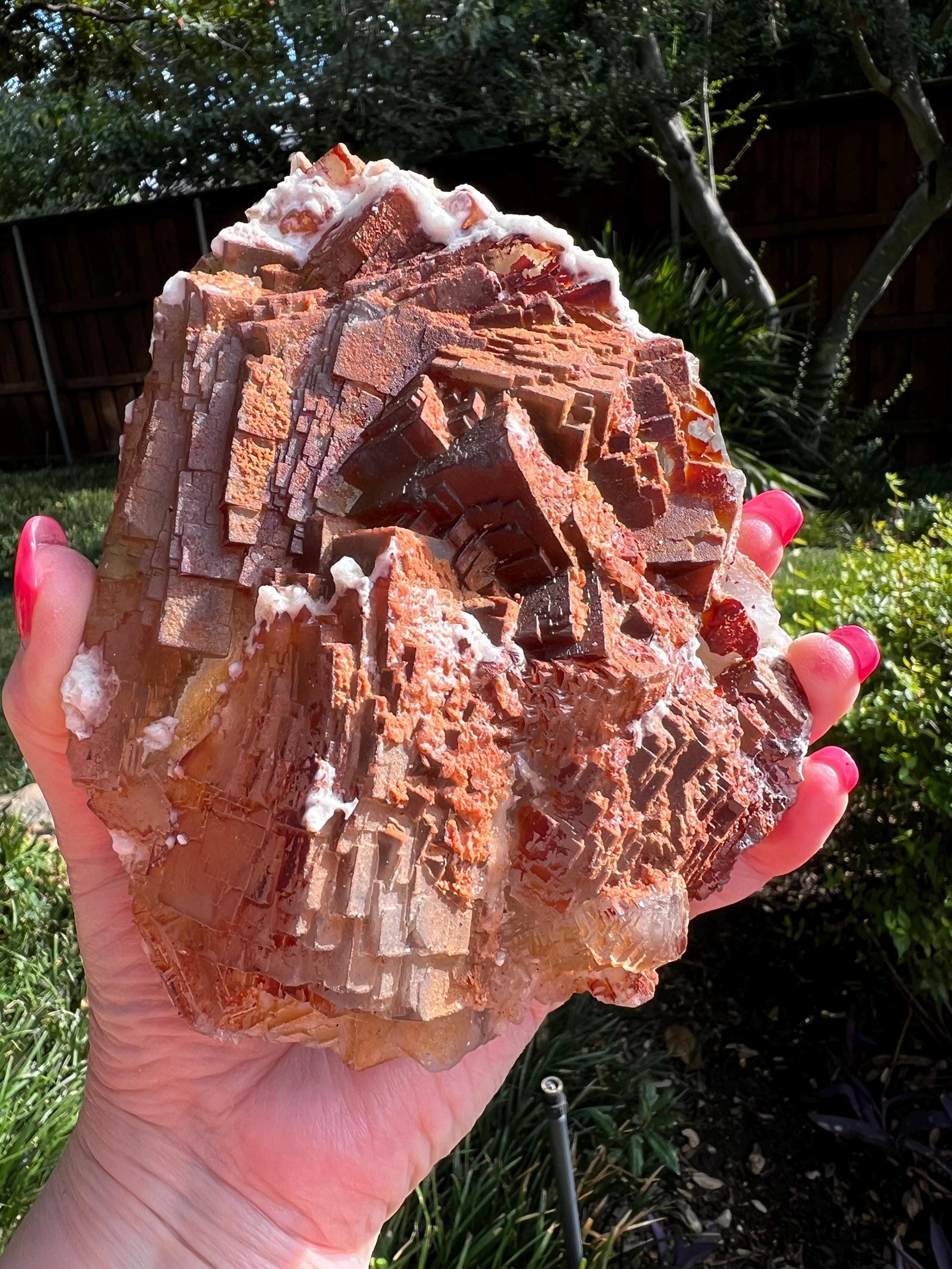 Stunning Red Purple Fluorite Raw Statement Piece, 1.14 pounds, 6”