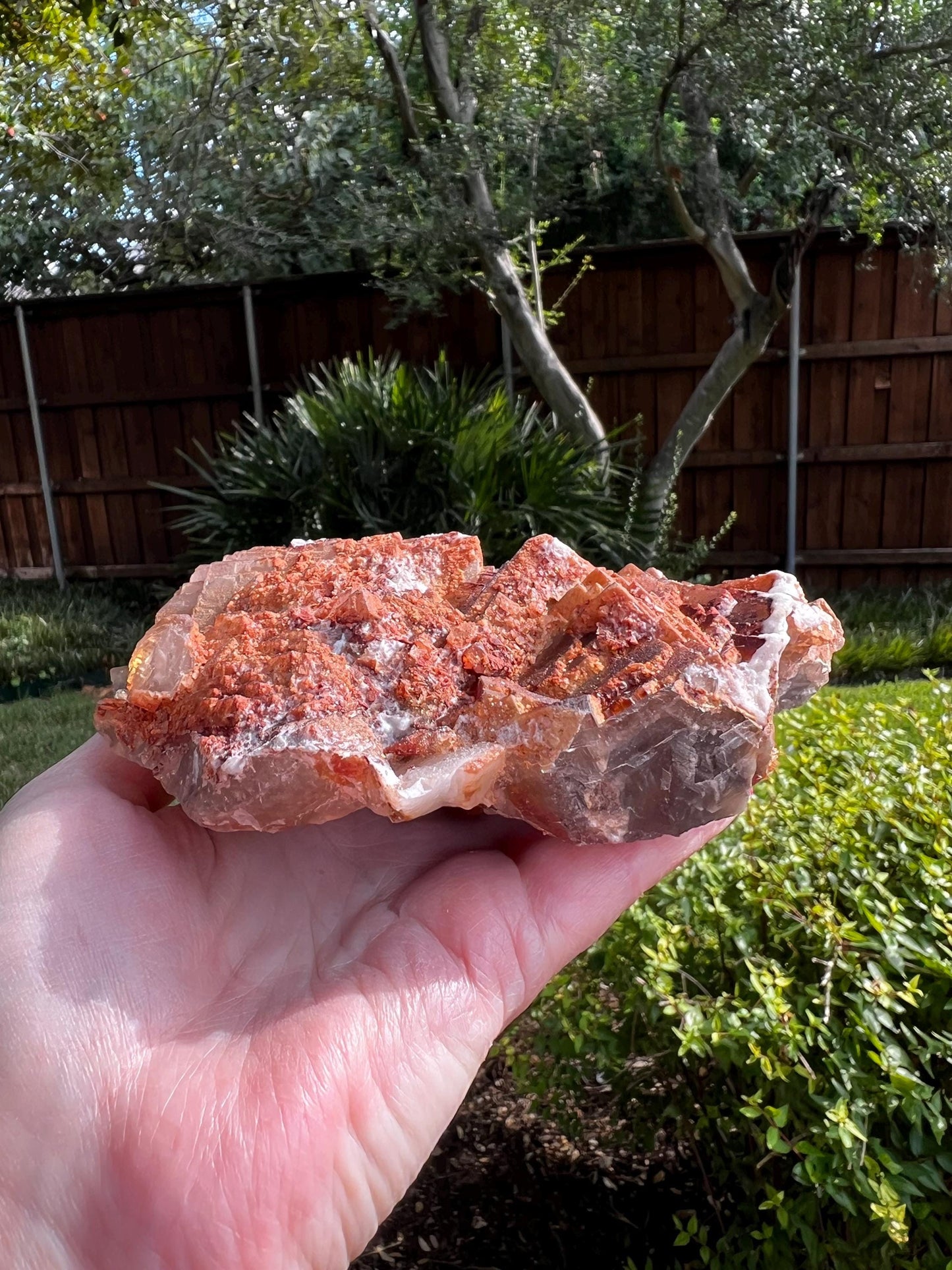 Stunning Red Purple Fluorite Raw Statement Piece, 1.14 pounds, 6”