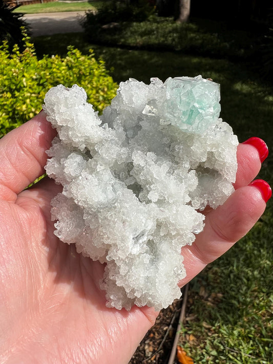 Crystalline Green Apophyllite Fairy Bed double-sided with sparkle, celadonite, 3.5”, high vibration crystals, gifts, altar