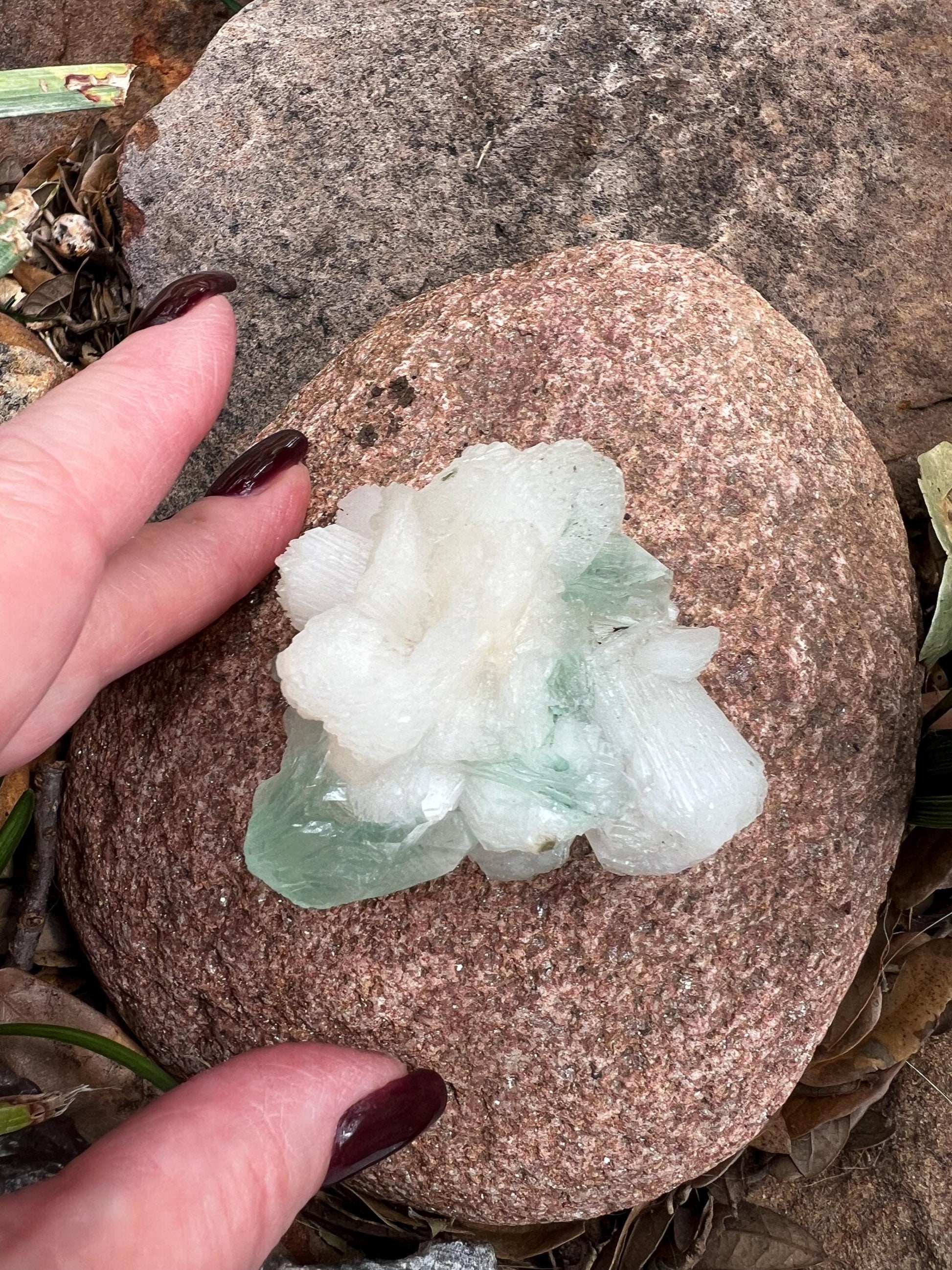 Green Apophyllite Fairy Bed with sparkle, celadonite, new, 2.5”, high vibration crystals, gifts, altar