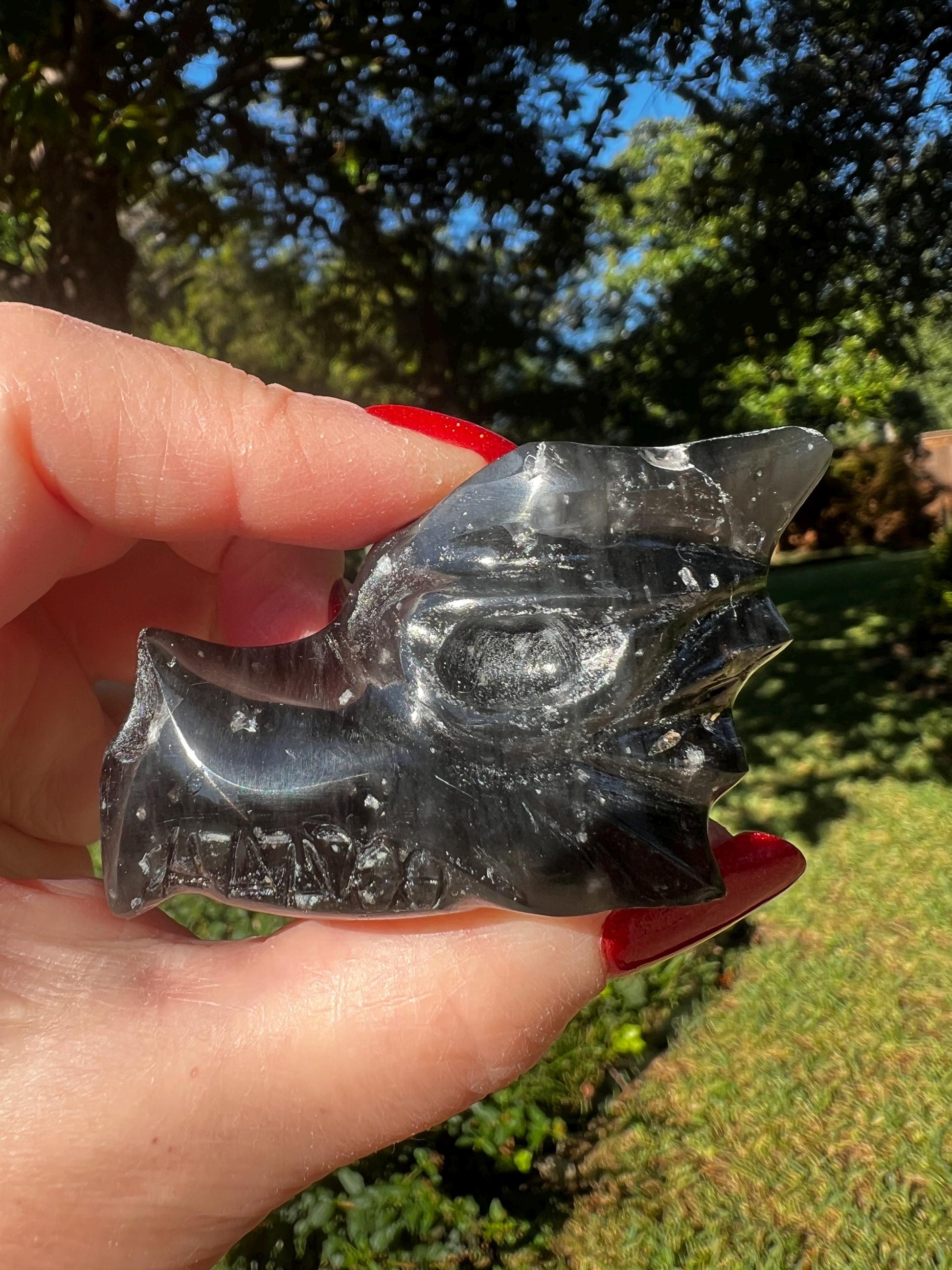 Agni Manitite Tektite Dragon Skull 2”, beautifully carved, crystal healing, premium crystals