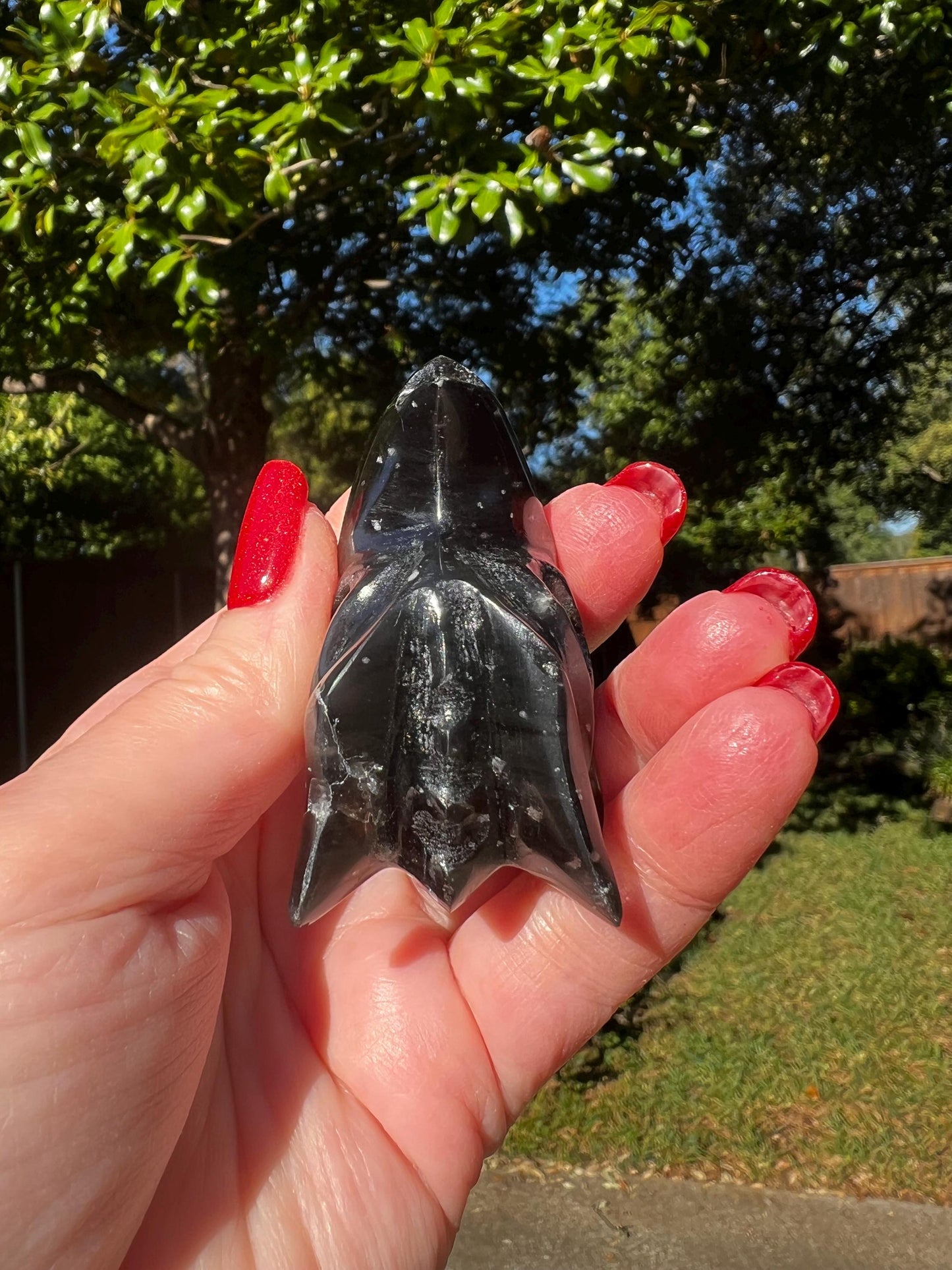 Agni Manitite Tektite Dragon Skull 2”, beautifully carved, crystal healing, premium crystals