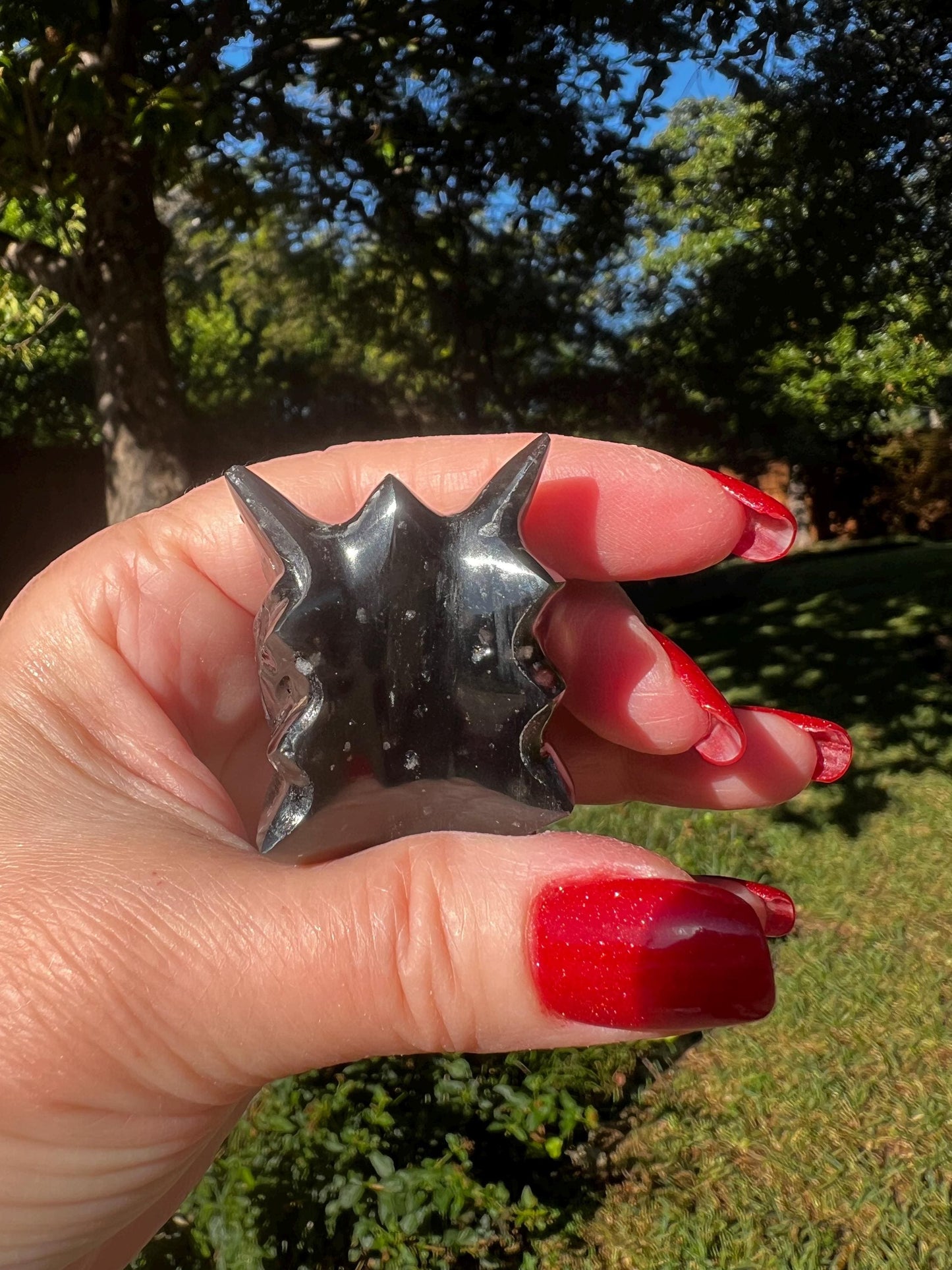 Agni Manitite Tektite Dragon Skull 2”, beautifully carved, crystal healing, premium crystals