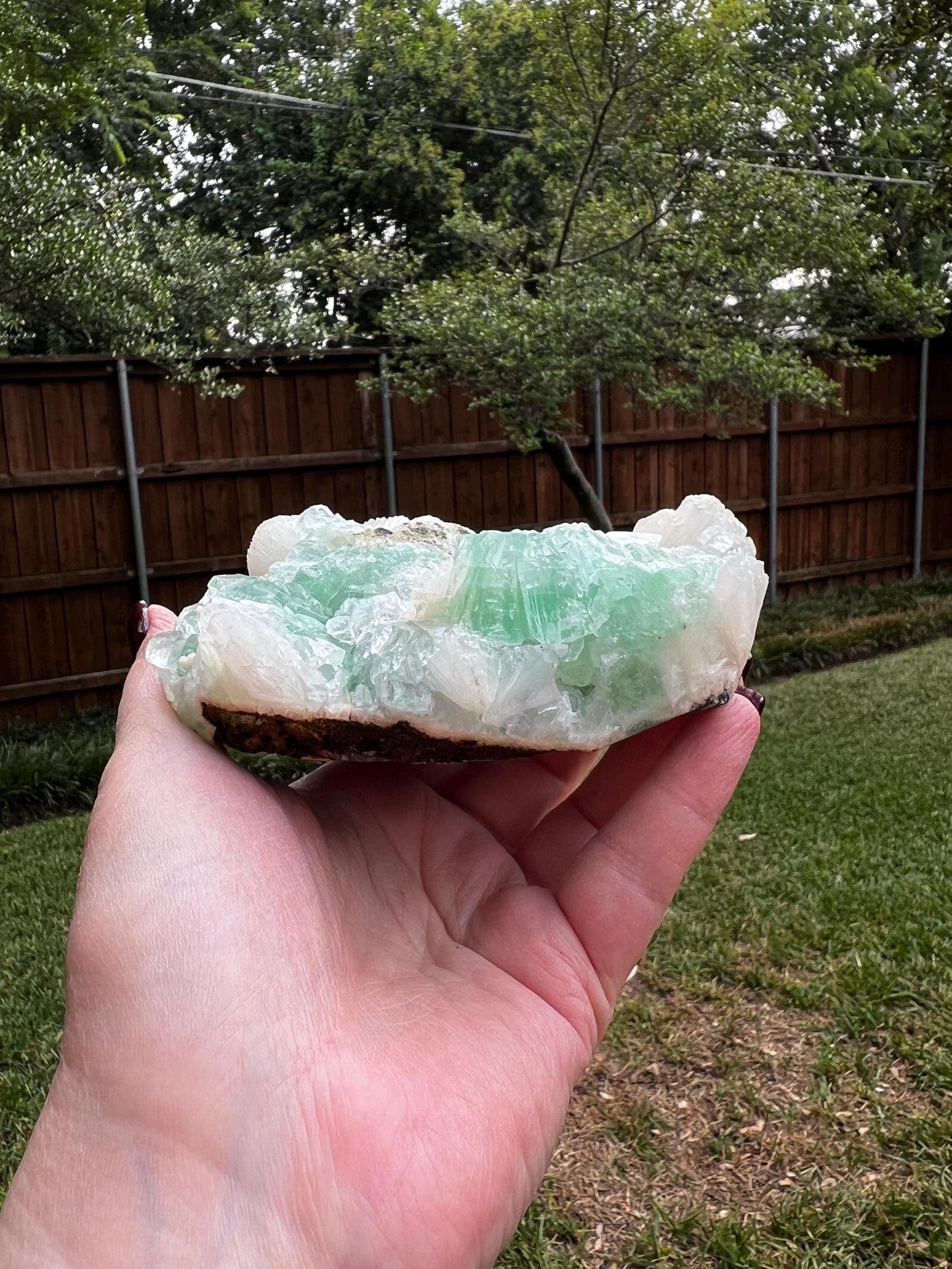 Green Apophyllite Fairy Bed with sparkle, celadonite, new, 4.5”, high vibration crystals, gifts, altar