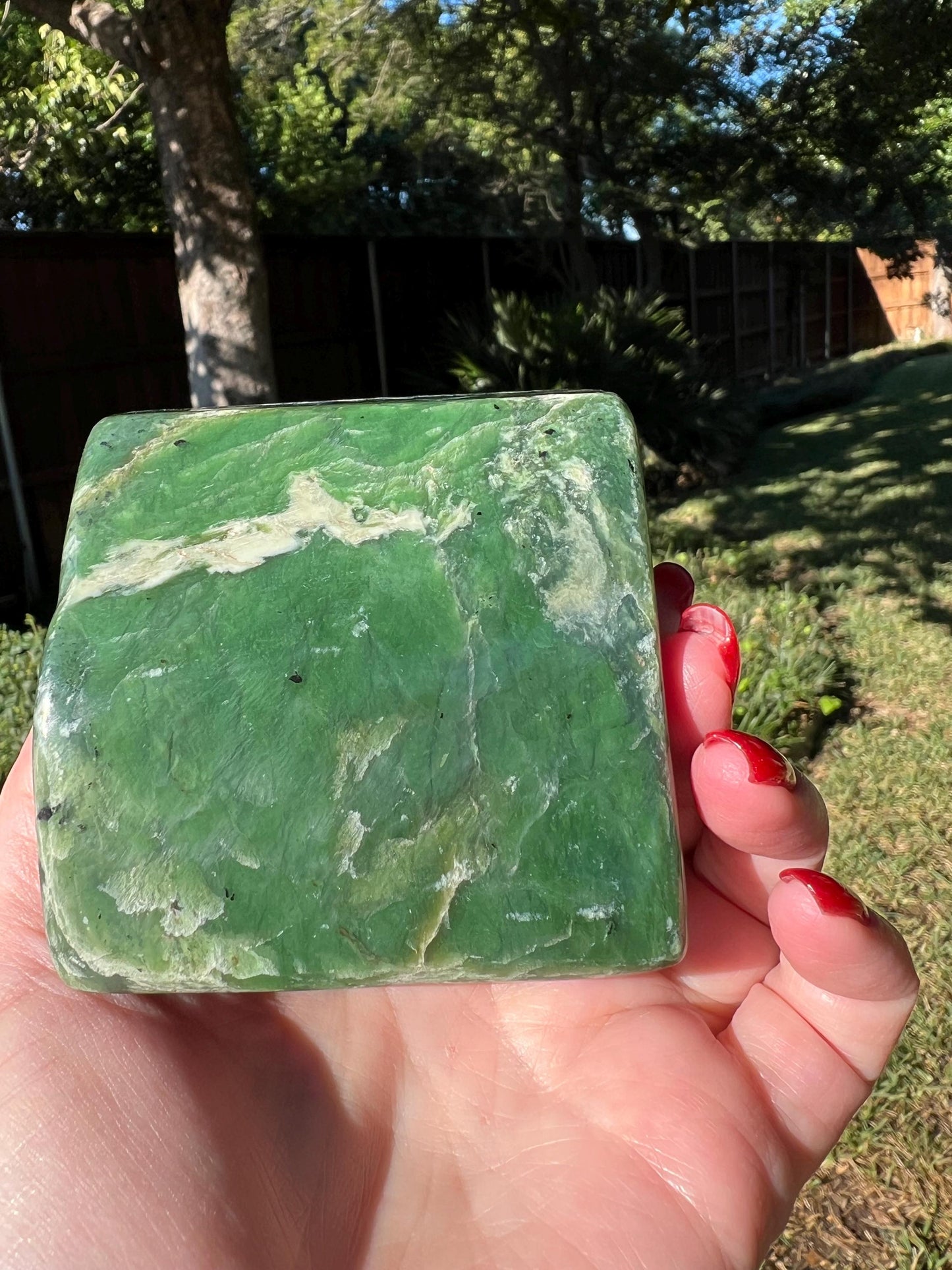 Absolutely gorgeous premium large Nephrite Freeform Statement Piece, 1.4.4 pounds, 3.25”