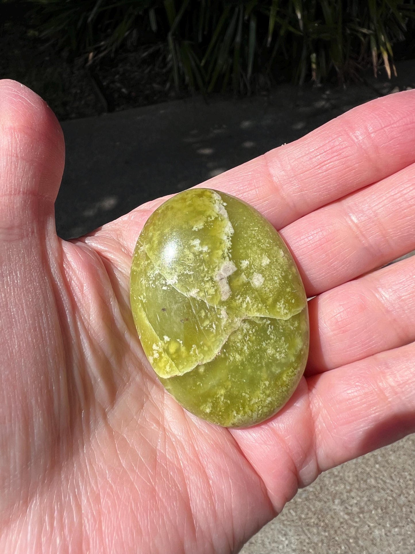 Yellow Serpentine Worry Stone, Crystal Healing, Gift, High Vibration Crystals, 2”