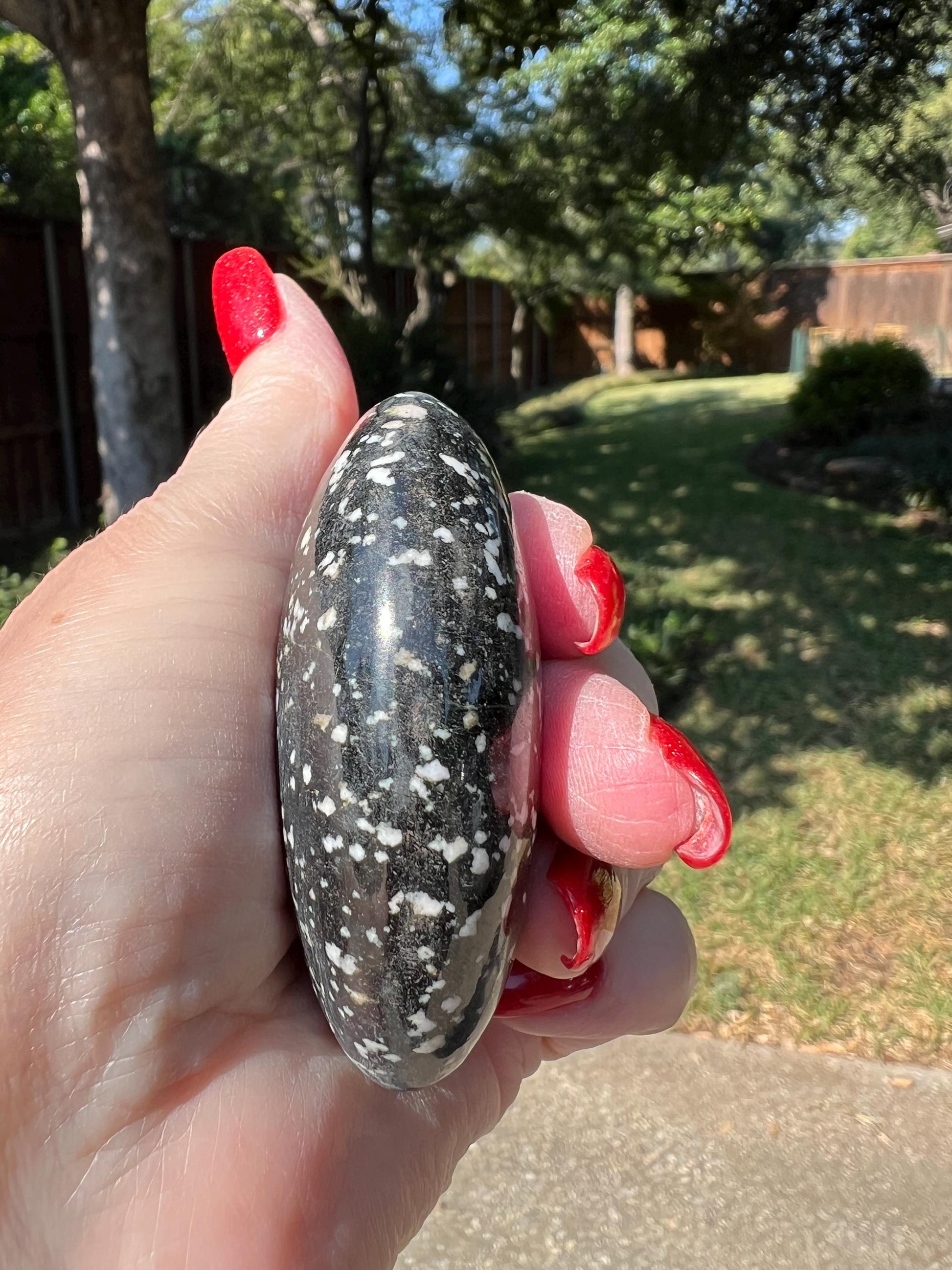 Large Snowflake Obsidian Palm Stone, 2.5”, gift, altar, high frequency crystals