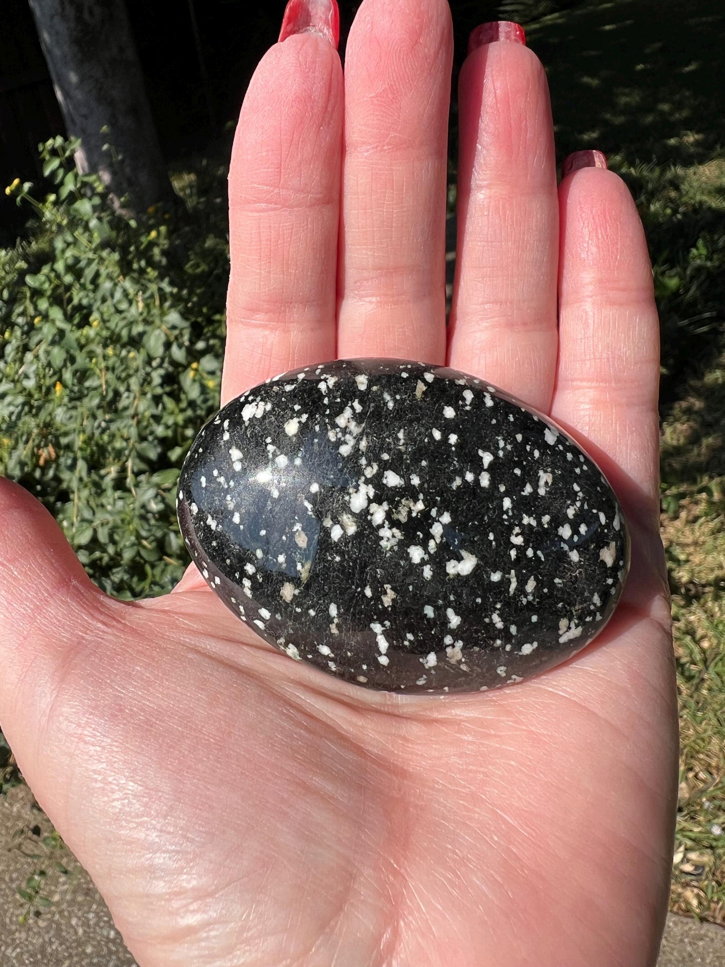 Large Snowflake Obsidian Palm Stone, 2.5”, gift, altar, high frequency crystals