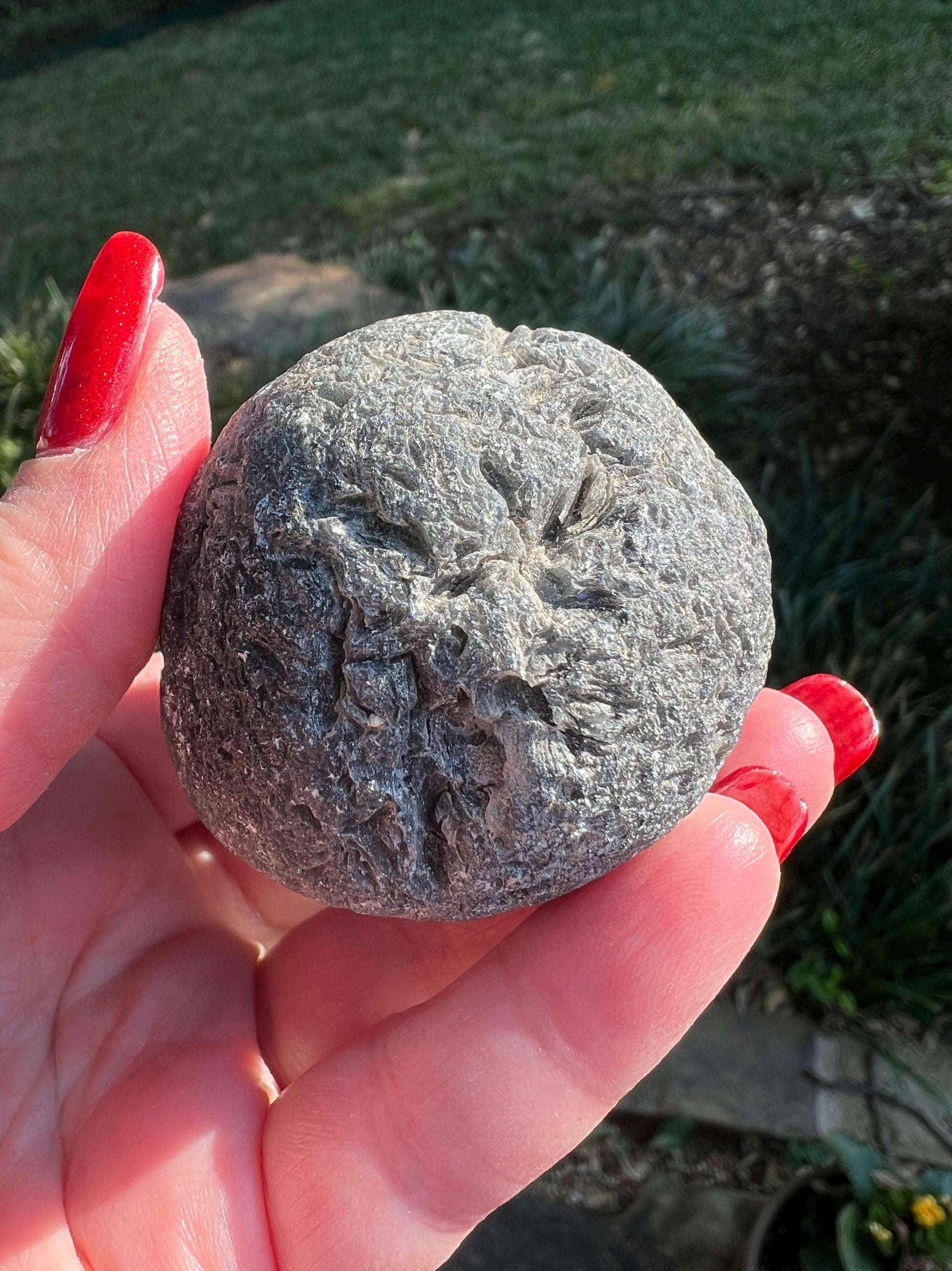 Large Agni Manitite Tektite Palm Stone, Tumbled, 2”, new in shop and hand-collected, high vibration crystals