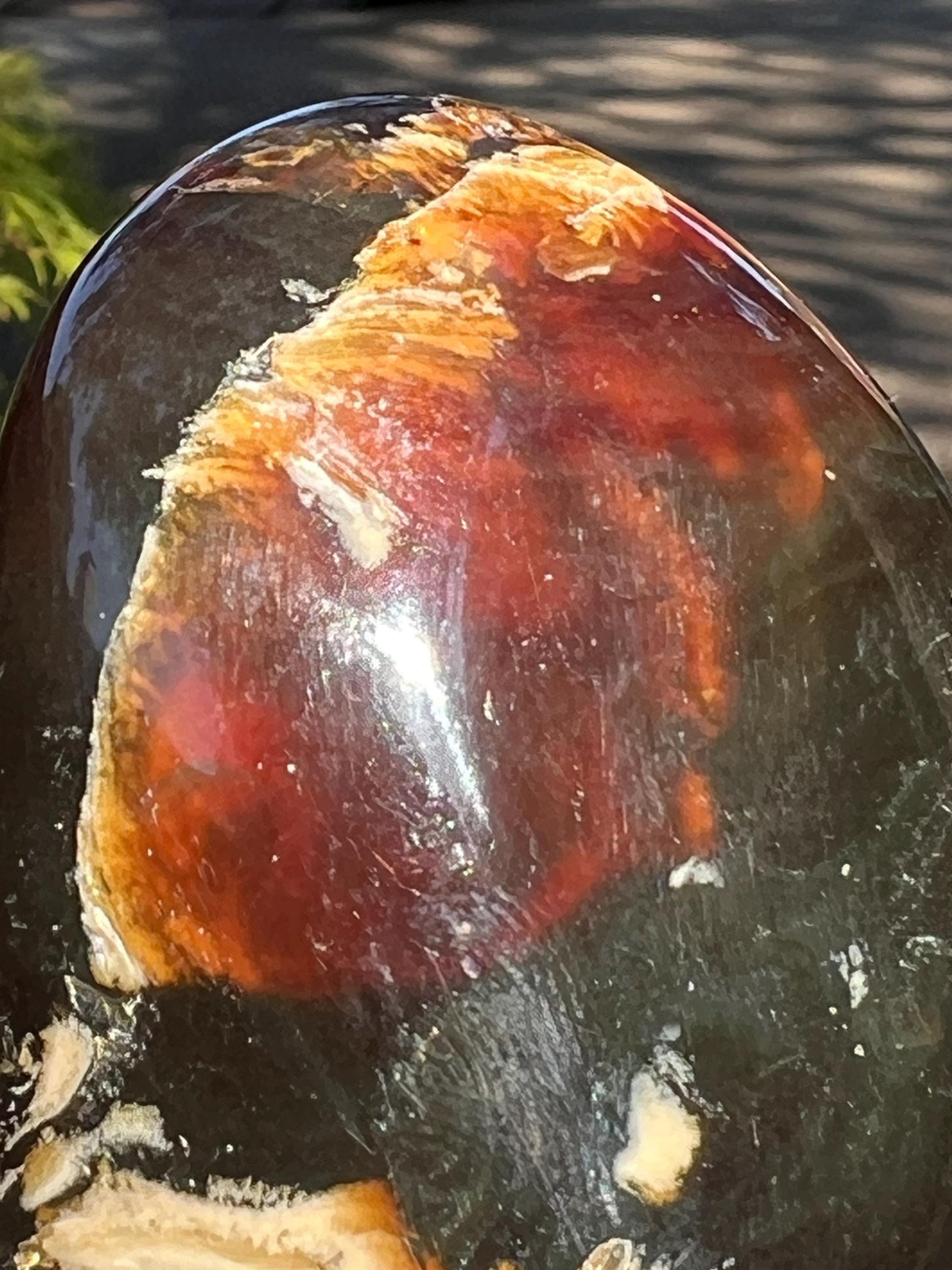 Stunning Polished authentic amber Freeform, altar, gift, high vibration crystals, crystal healing, 4”