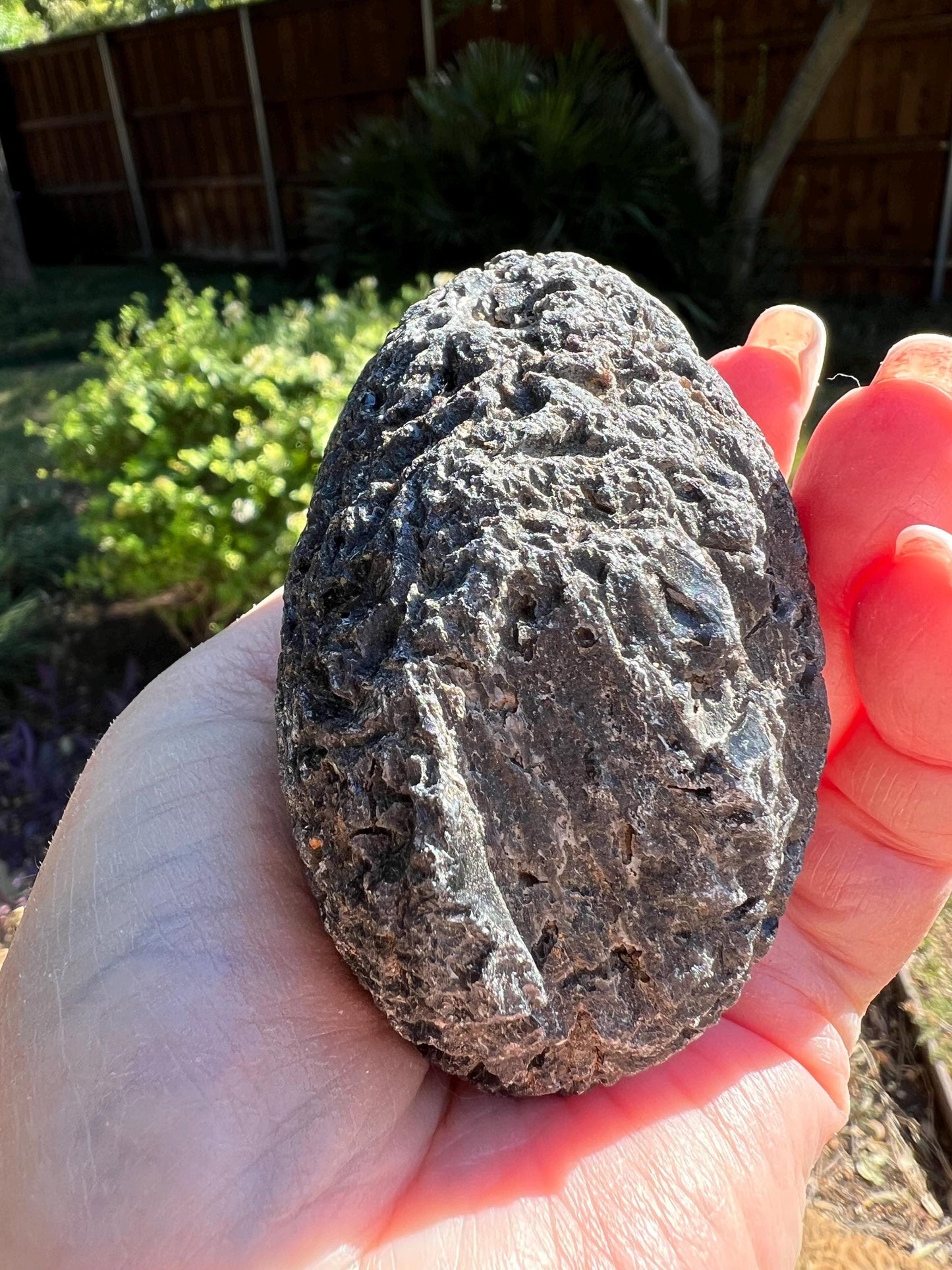 Jumbo Agni Manitite Tektite Palm Stone, Tumbled, 3.25”, new in shop and hand-collected, high vibration crystals