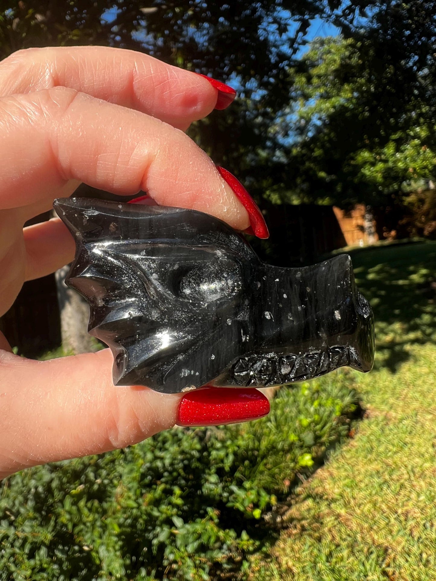 Agni Manitite Tektite Dragon Skull 2”, beautifully carved, crystal healing, premium crystals