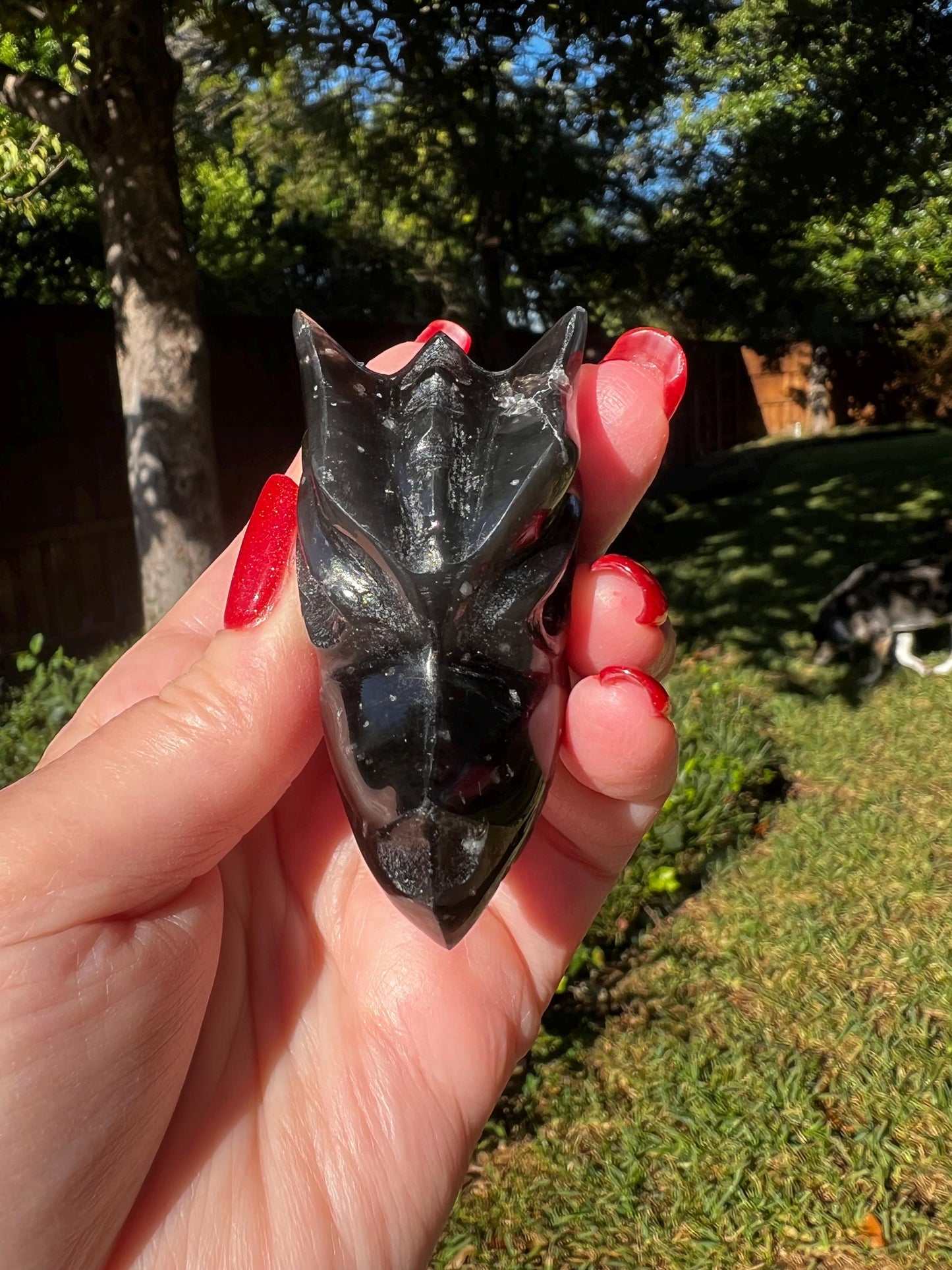 Agni Manitite Tektite Dragon Skull 2”, beautifully carved, crystal healing, premium crystals