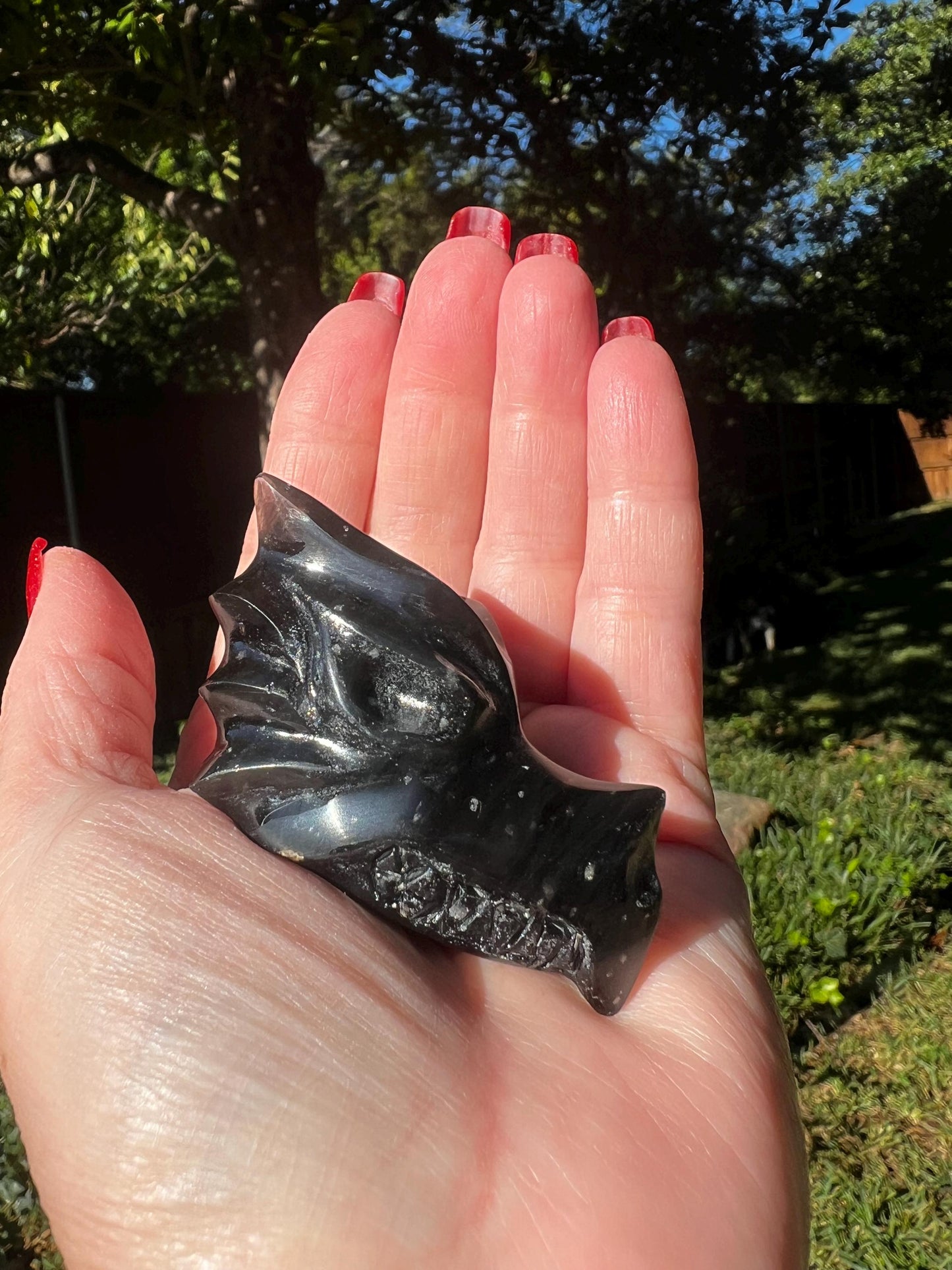 Agni Manitite Tektite Dragon Skull 2”, beautifully carved, crystal healing, premium crystals