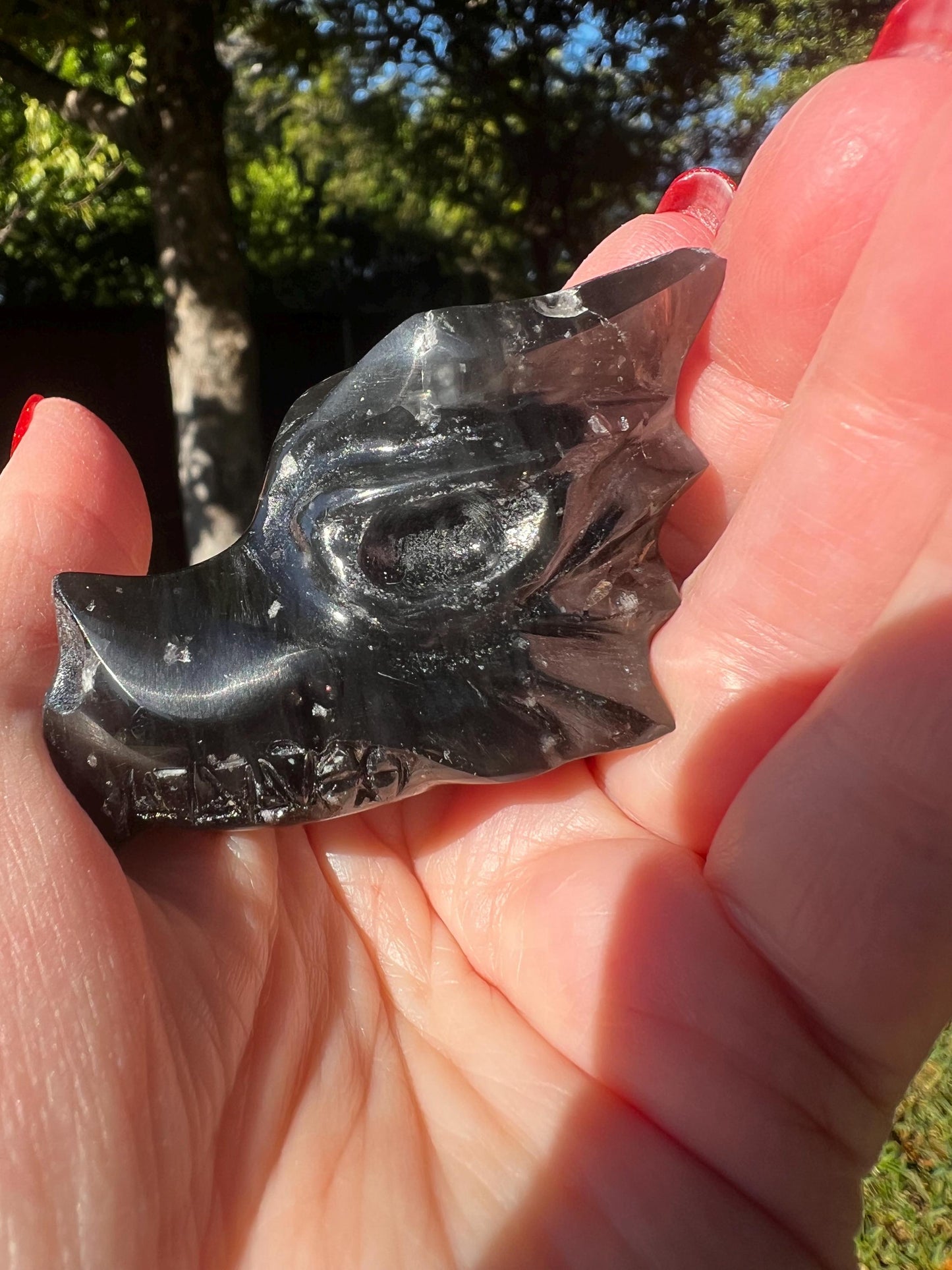 Agni Manitite Tektite Dragon Skull 2”, beautifully carved, crystal healing, premium crystals