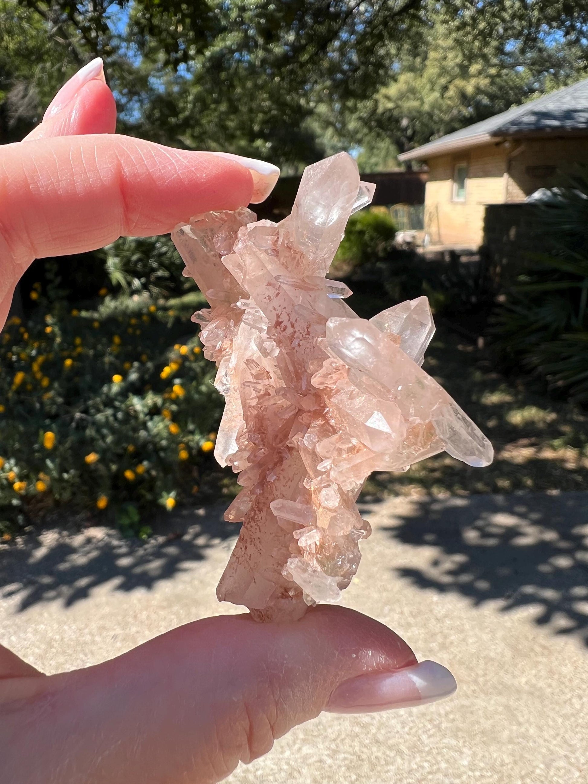 Strawberry Pink Mint Lemurian Fairy bed, new, high quality, striations, crystal healing, 2.5”, hematite, chlorite premium