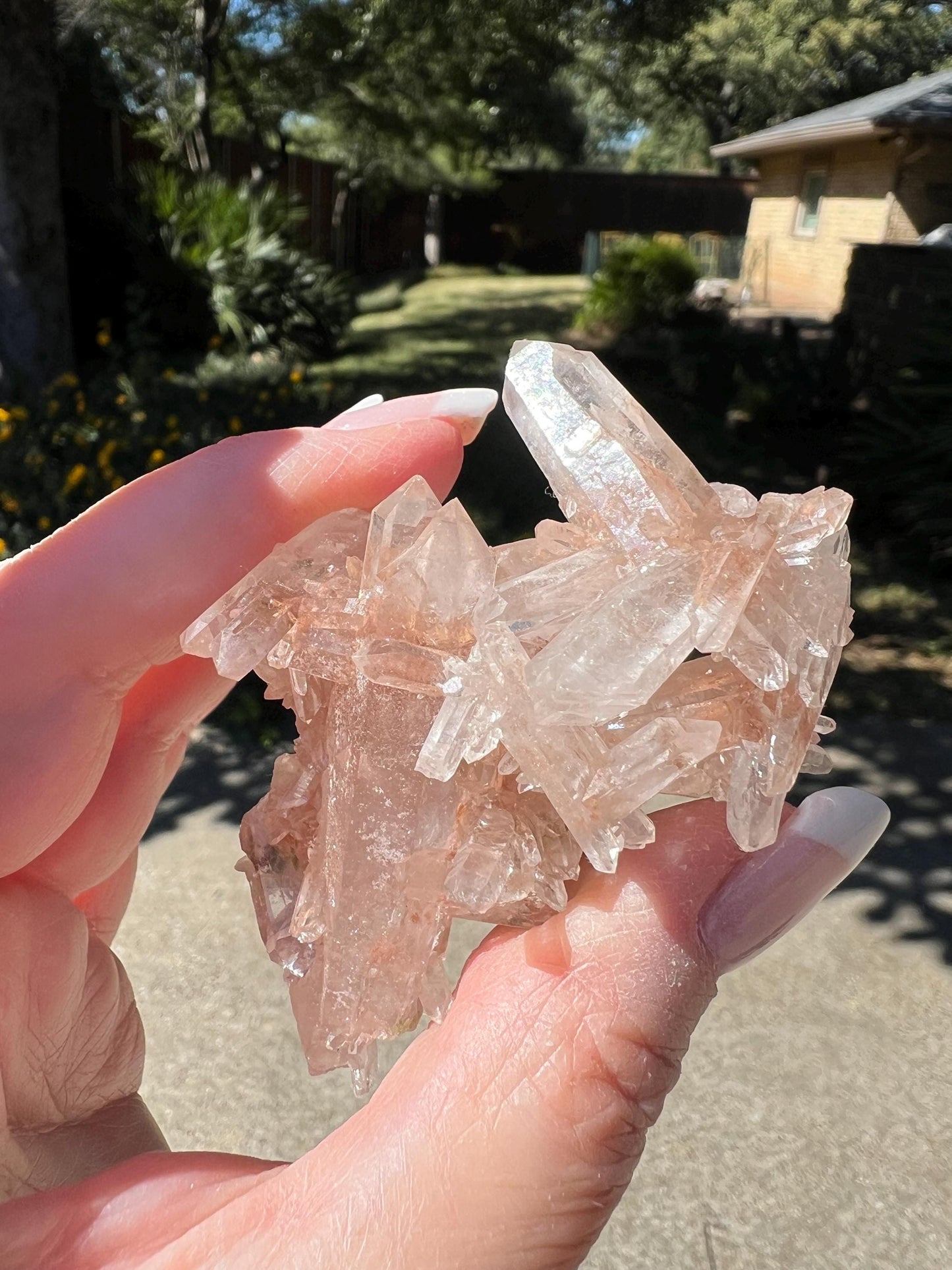 Strawberry Pink Mint Lemurian Fairy bed, new, high quality, striations, crystal healing, 2.5”, hematite, chlorite premium