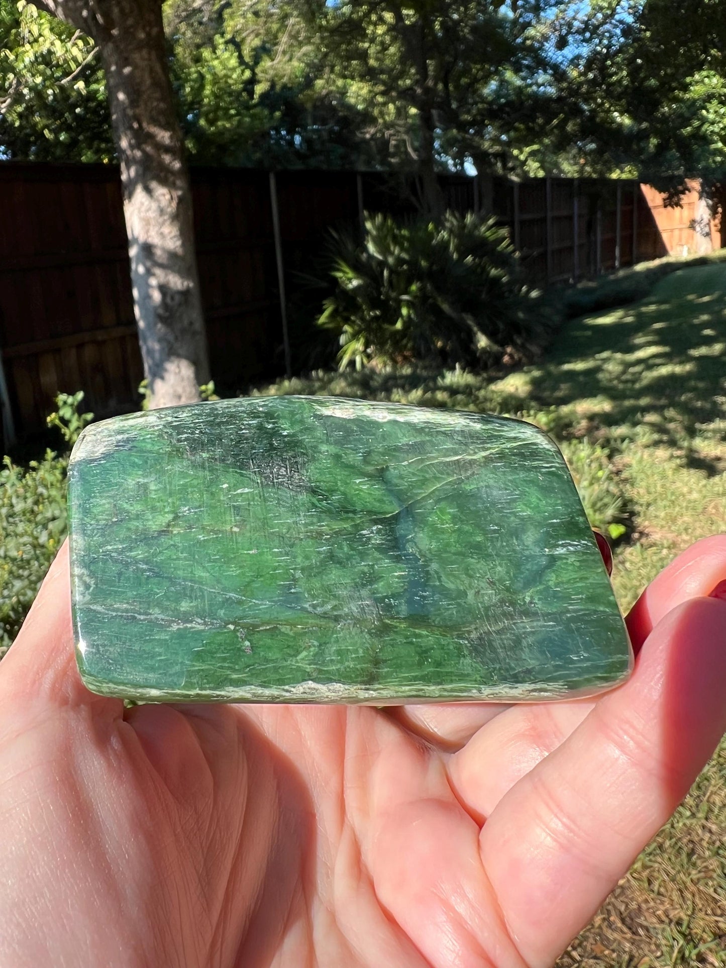 Absolutely gorgeous premium large Nephrite Freeform Statement Piece, 1.4.4 pounds, 3.25”